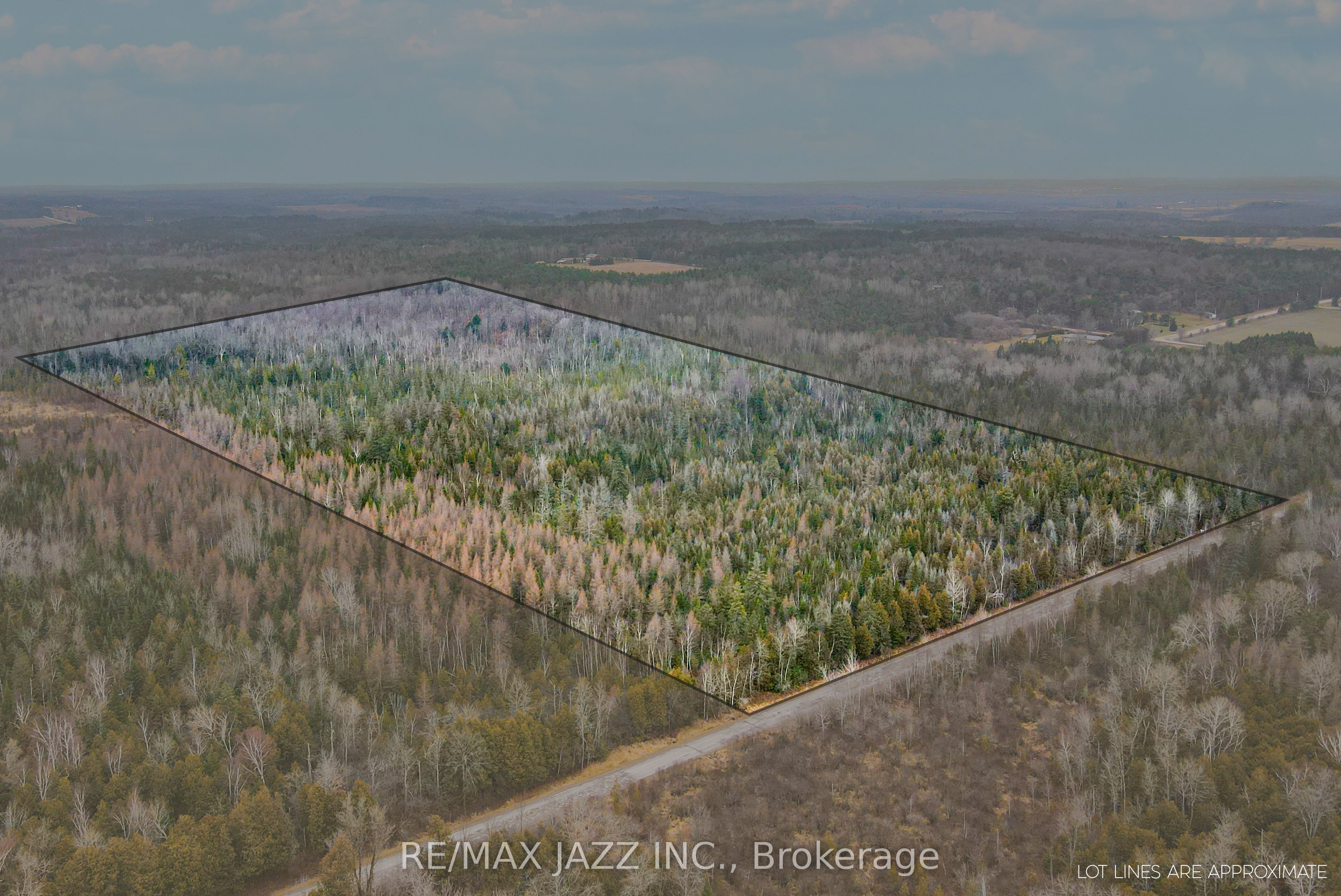 0 Ballyduff Road, Kawartha Lakes, ON L0A 1K0 photo 4