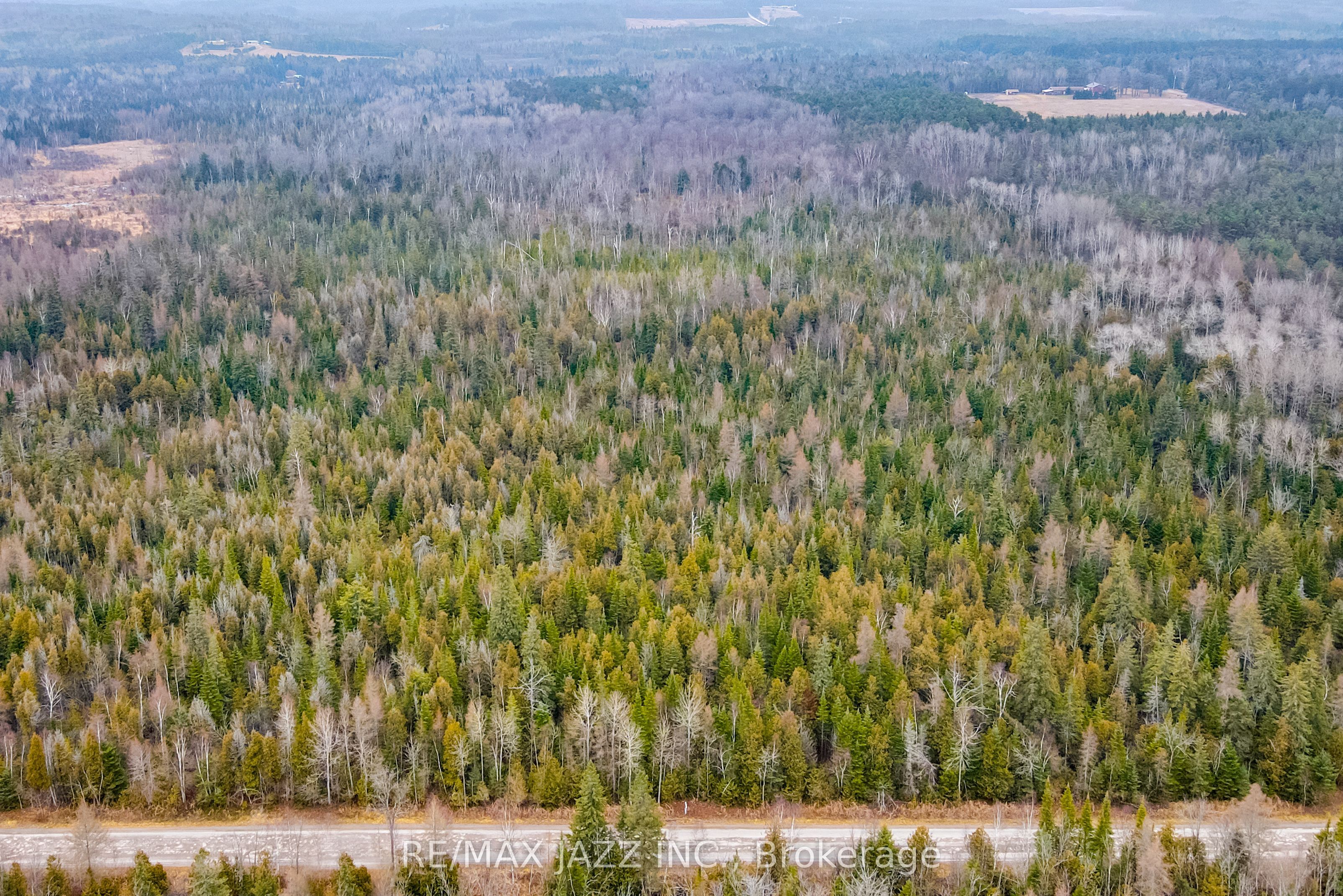 0 Ballyduff Road, Kawartha Lakes, ON L0A 1K0 photo 5