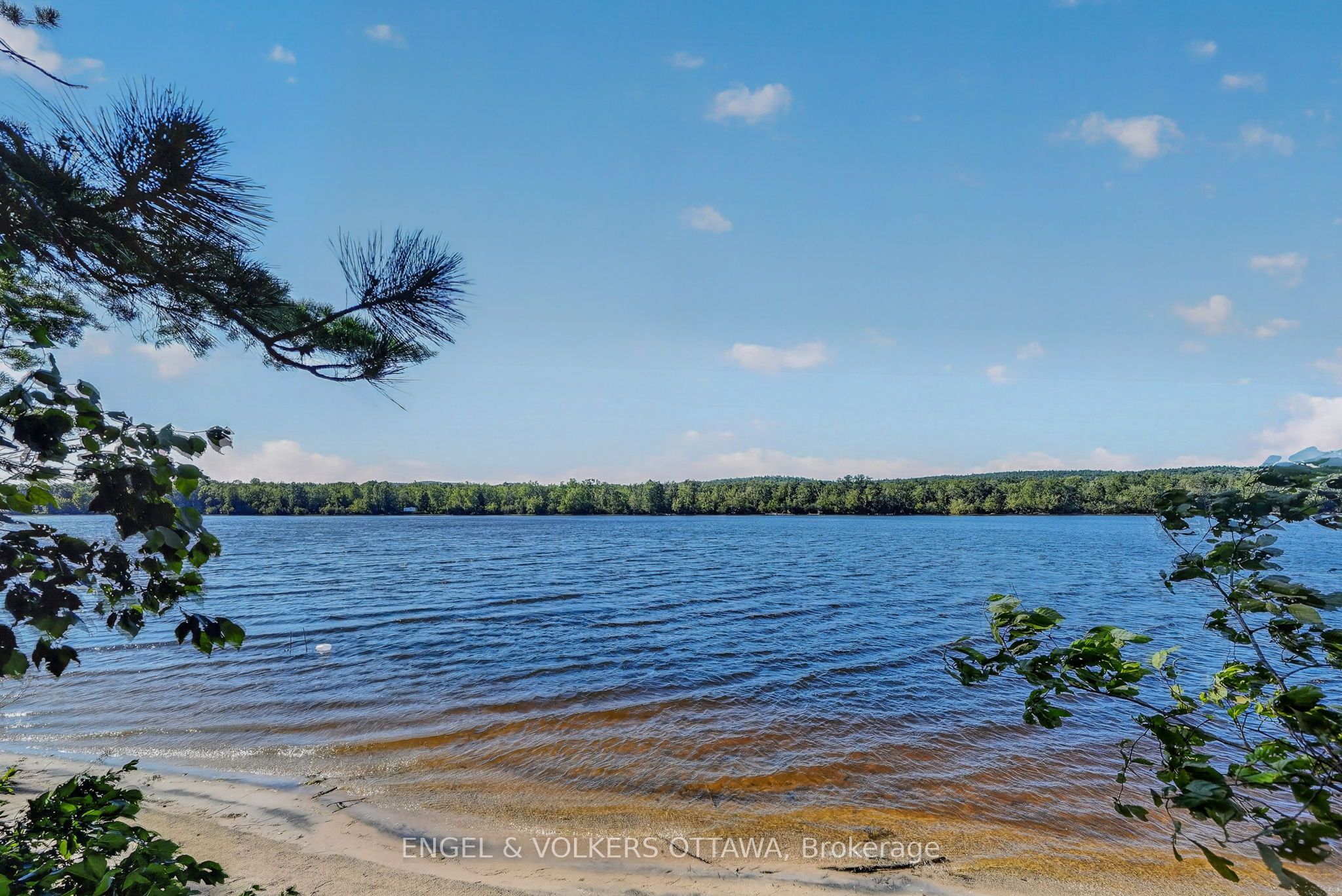 2221A Gratton Trail, Whitewater Region, ON K0J 2L0 photo 5