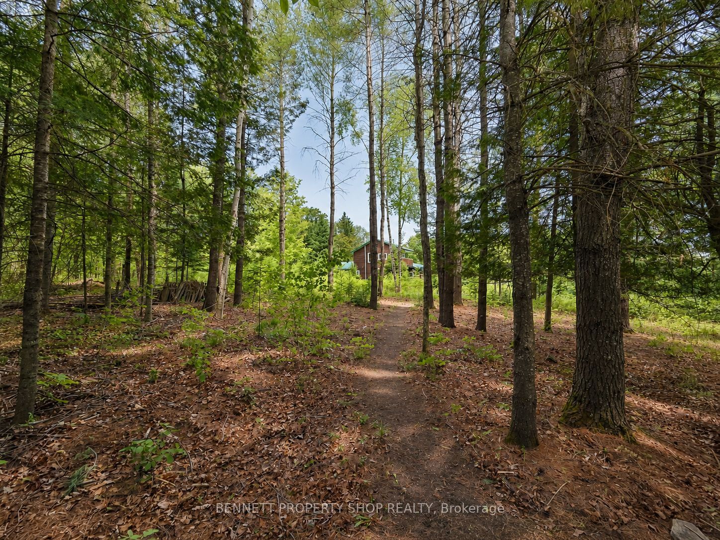 515 Graphite Bay Road, Greater Madawaska, ON K0J 1H0 photo 3