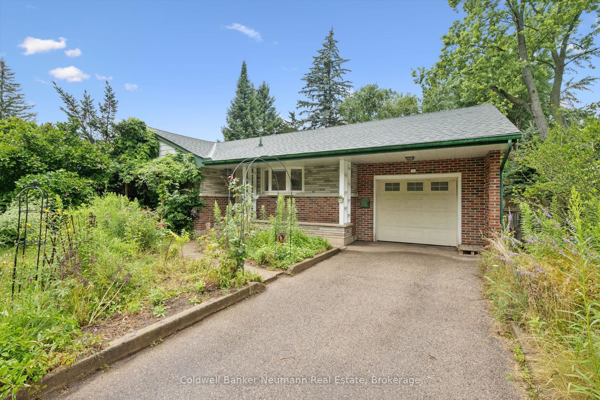 45 Dean Avenue, Guelph, ON N1G 1K6 photo 2