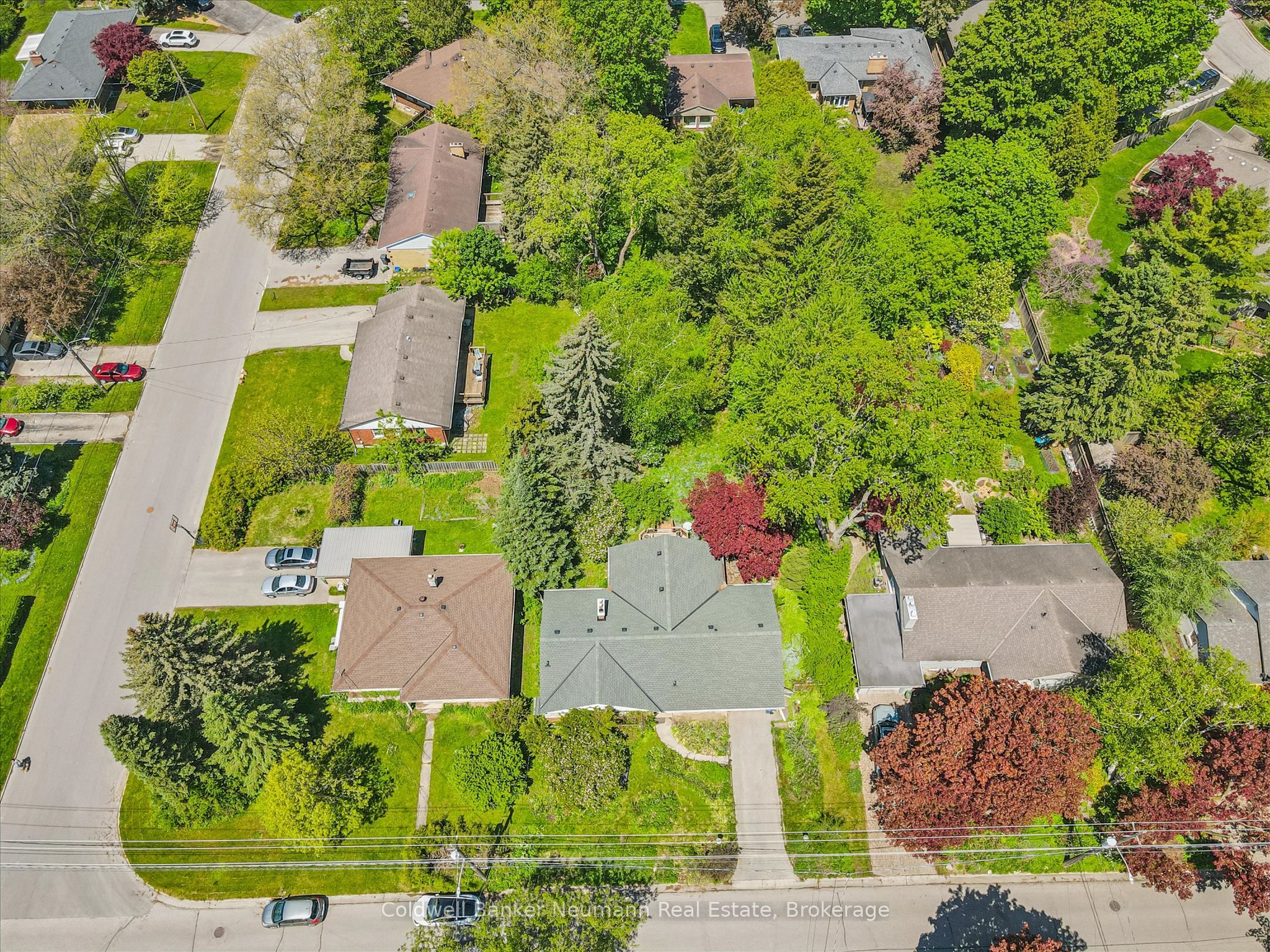 45 Dean Avenue, Guelph, ON N1G 1K6 photo 3