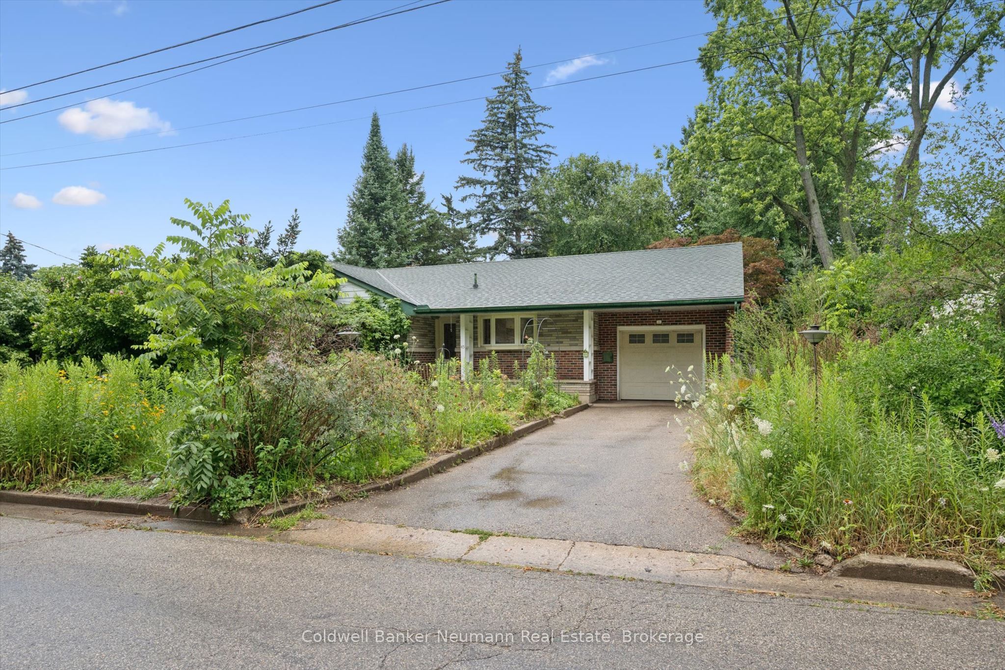 45 Dean Avenue, Guelph, ON N1G 1K6 photo 5