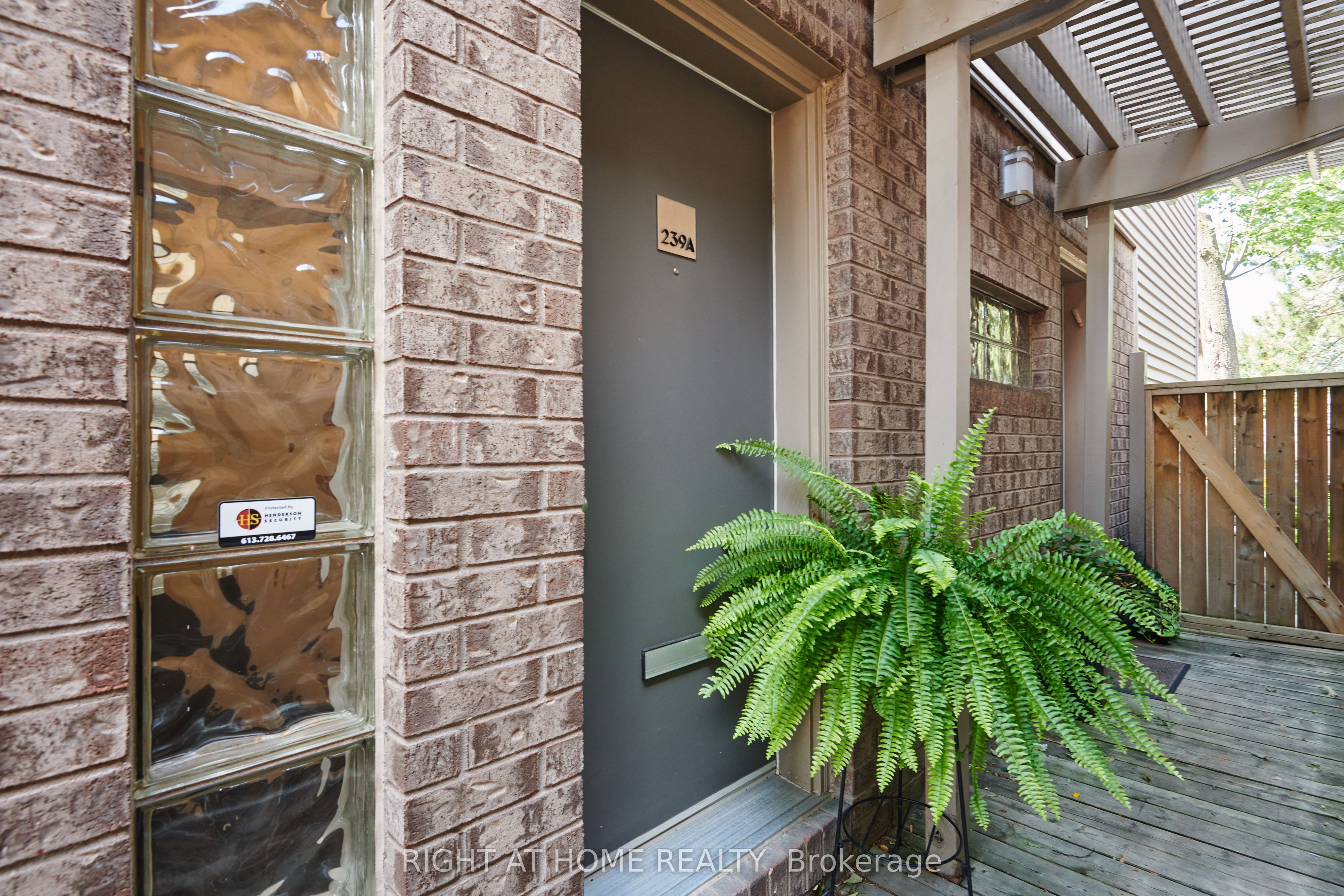 239A Sunnyside Avenue, Glebe - Ottawa East and Area, ON K1S 0R4 photo 5