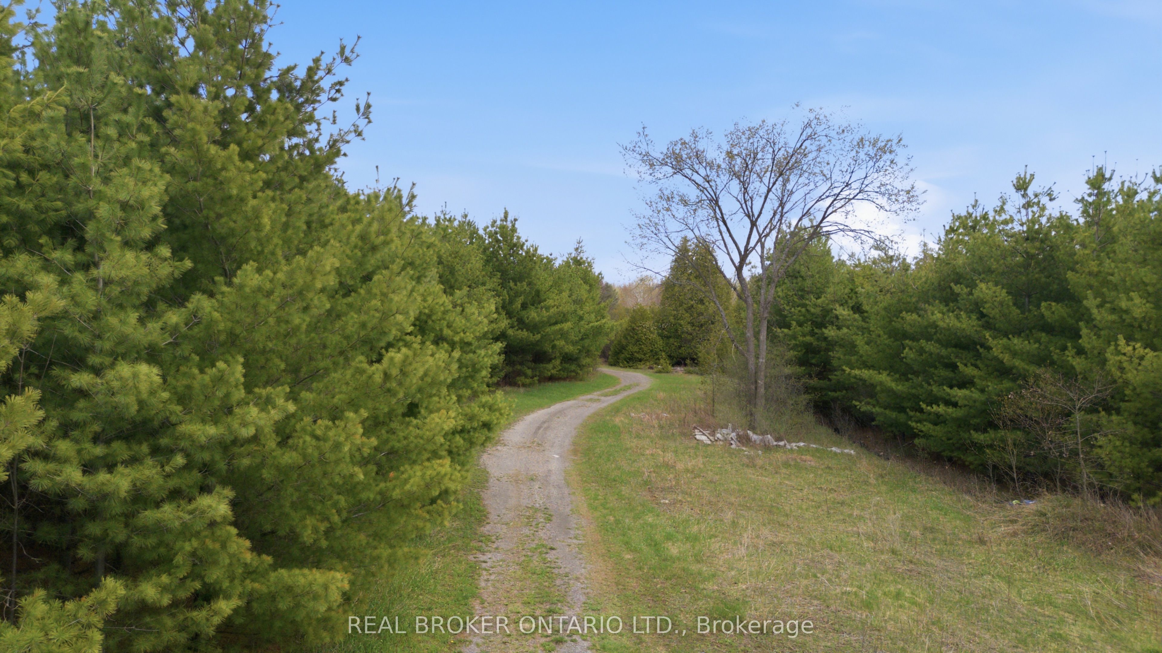 3115 PADEN Road, Manotick - Kars - Rideau Twp and Area, ON K0A 2T0 photo 2