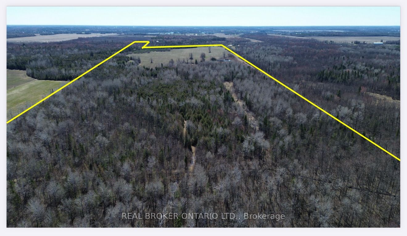 3115 PADEN Road, Manotick - Kars - Rideau Twp and Area, ON K0A 2T0 photo 3