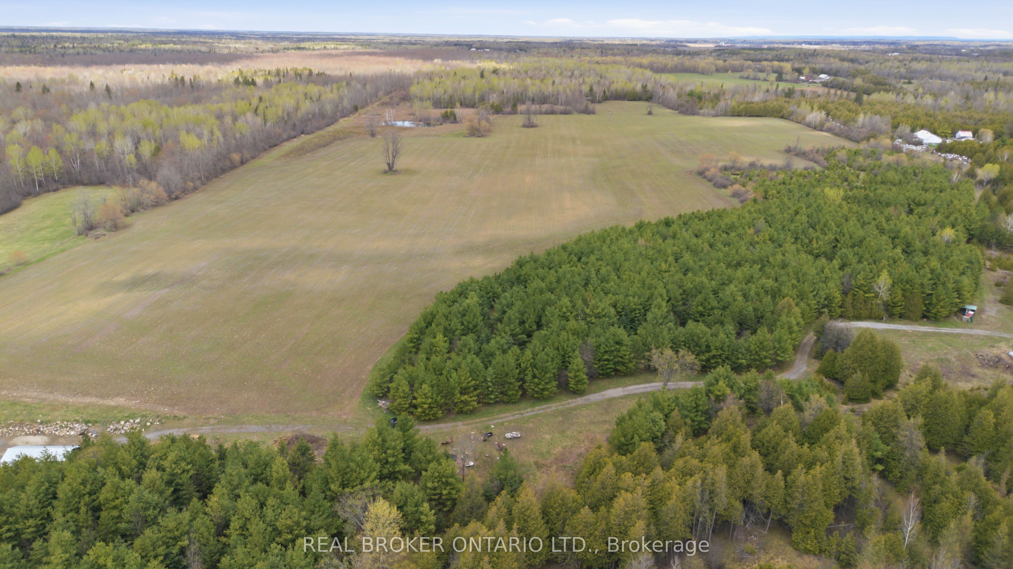 3115 PADEN Road, Manotick - Kars - Rideau Twp and Area, ON K0A 2T0 photo 5