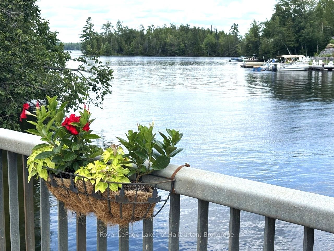 Beside 1456 Crystal Lake Road, Trent Lakes, ON K0M 2A0 photo 2