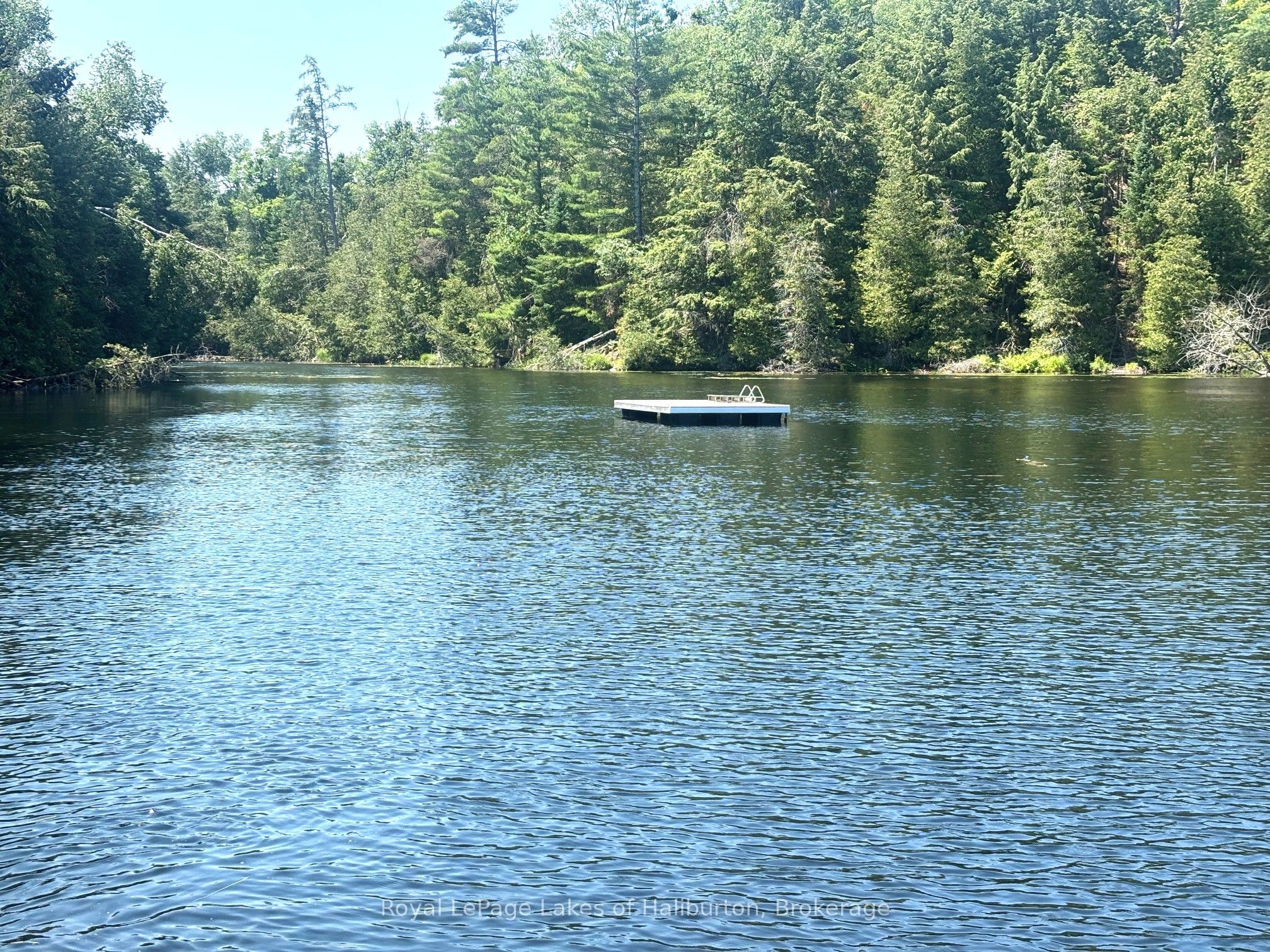 Beside 1456 Crystal Lake Road, Trent Lakes, ON K0M 2A0 photo 3