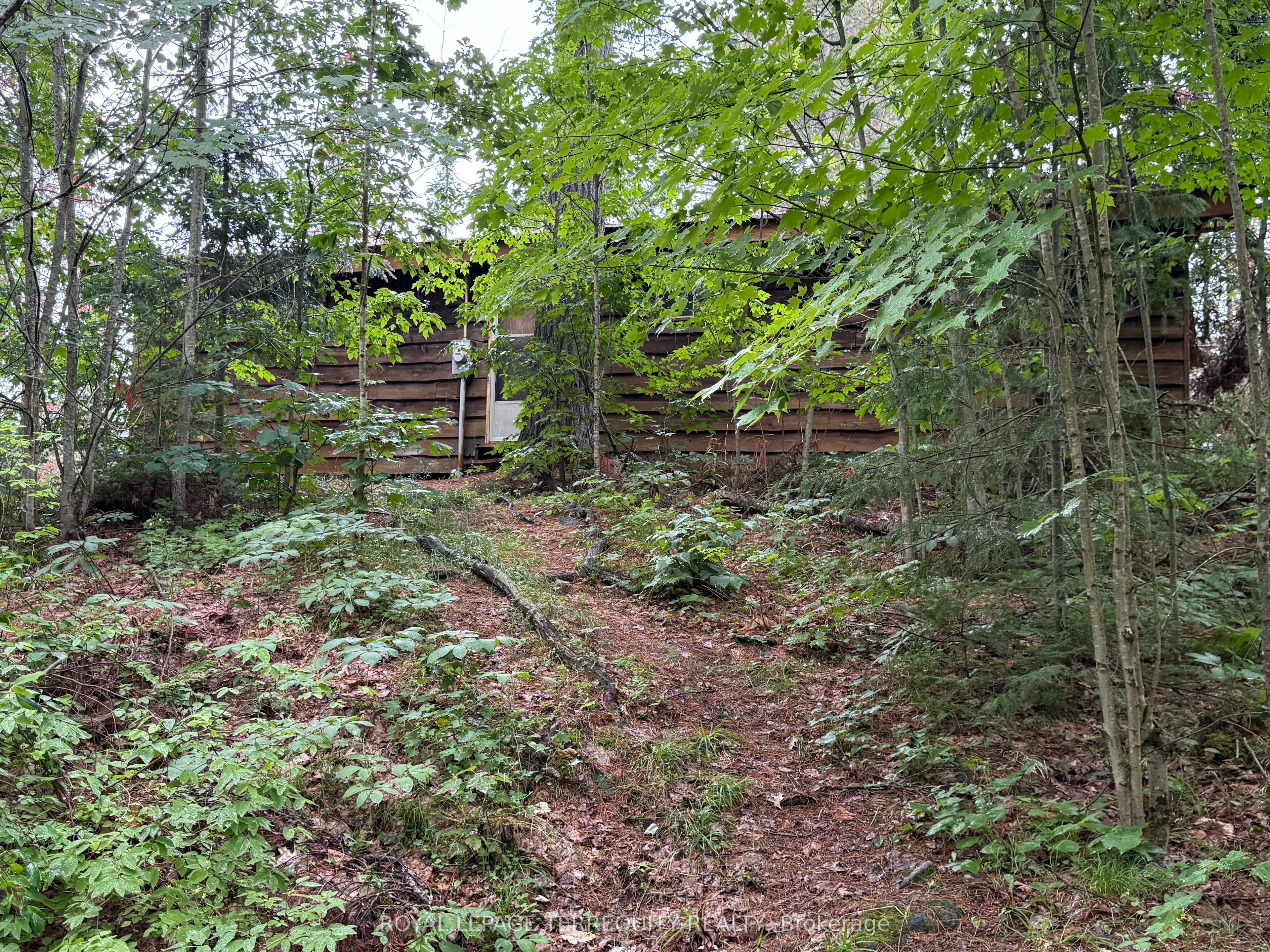 1097 Swirlingleaves Lane, Highlands East, ON K0L 1C0 photo 2