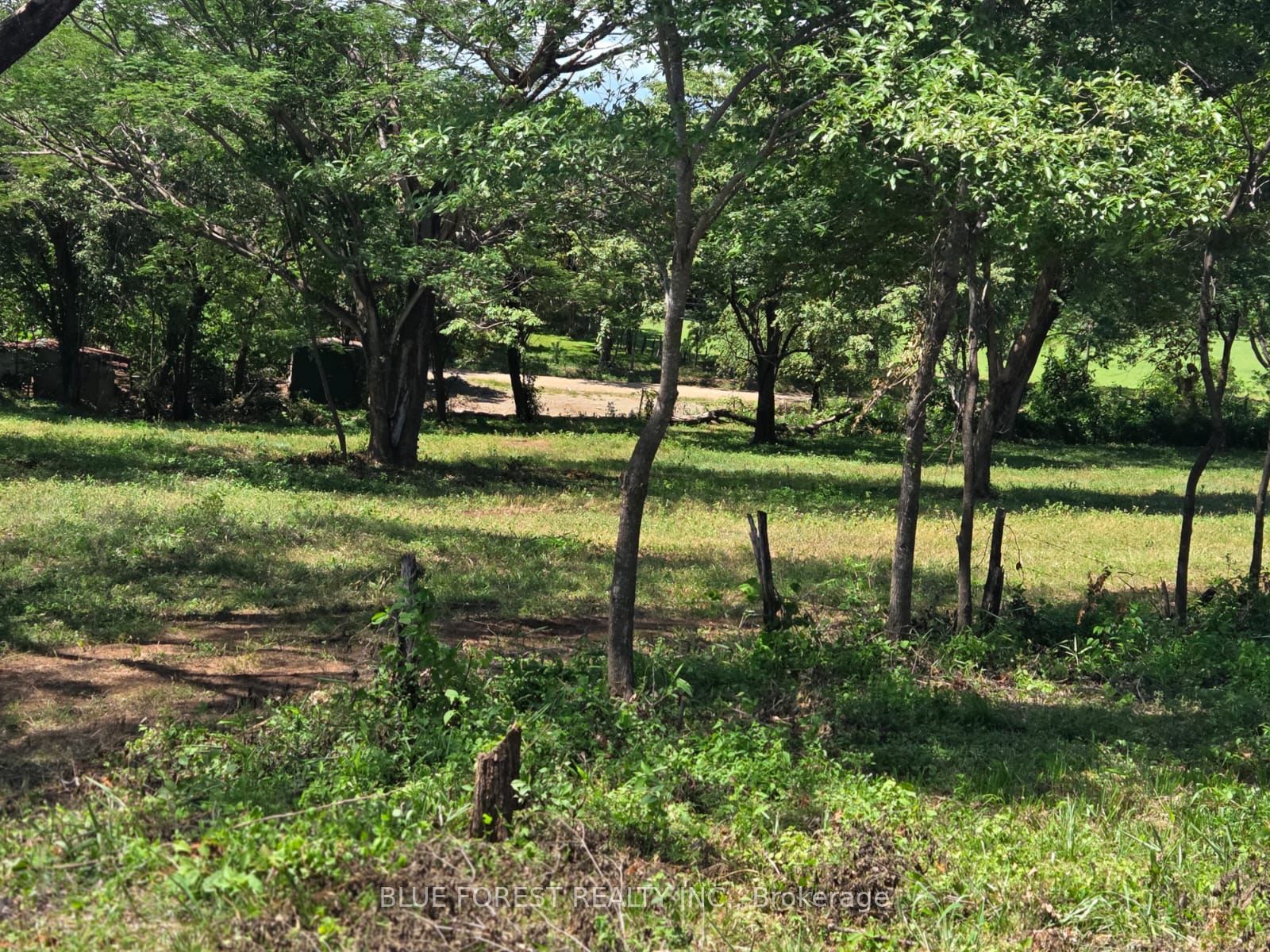Lot 29 Belen N/A, Costa Rica photo 3