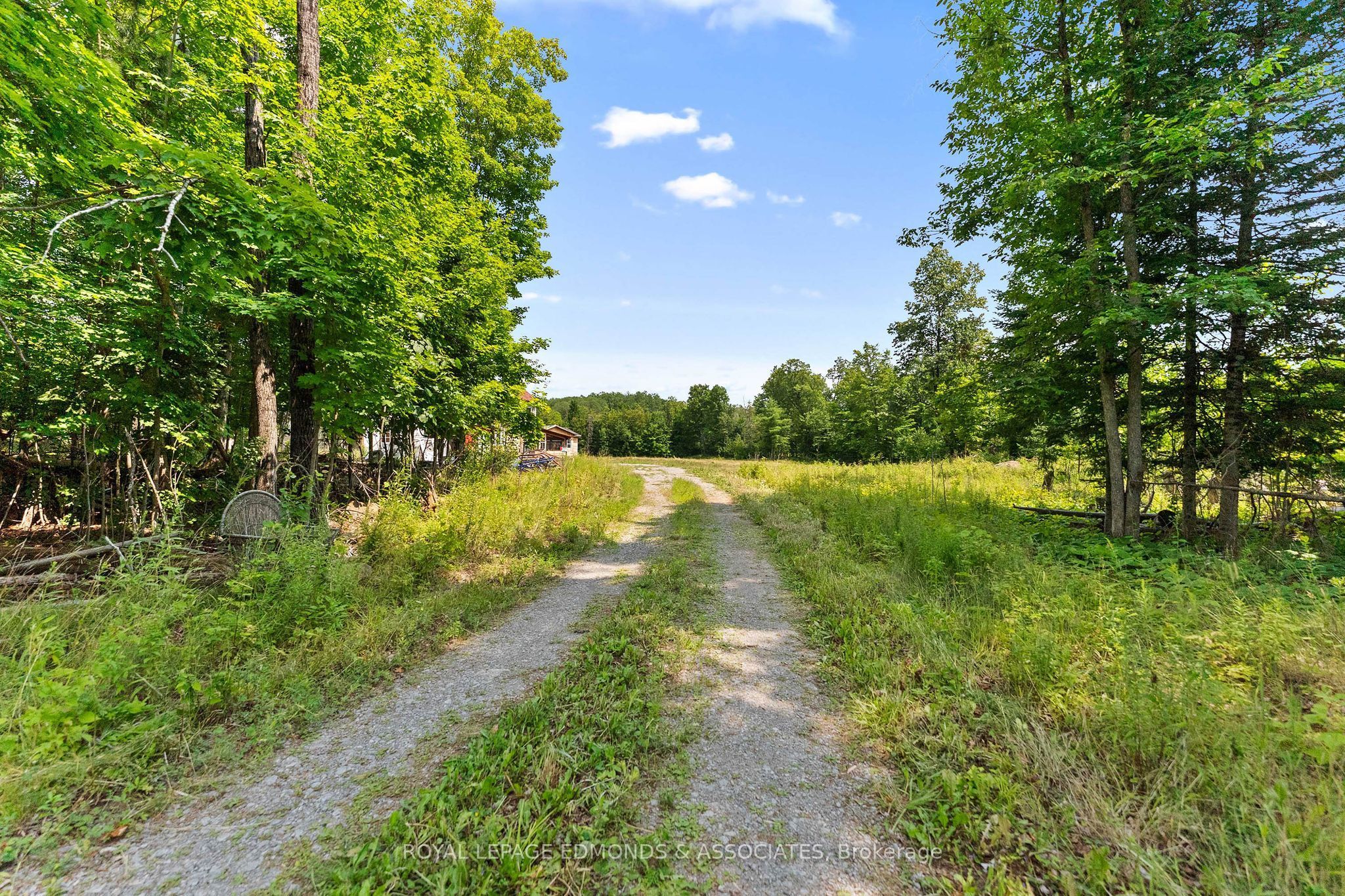 551 Wren Road, Bonnechere Valley, ON K0J 1S0 photo 4
