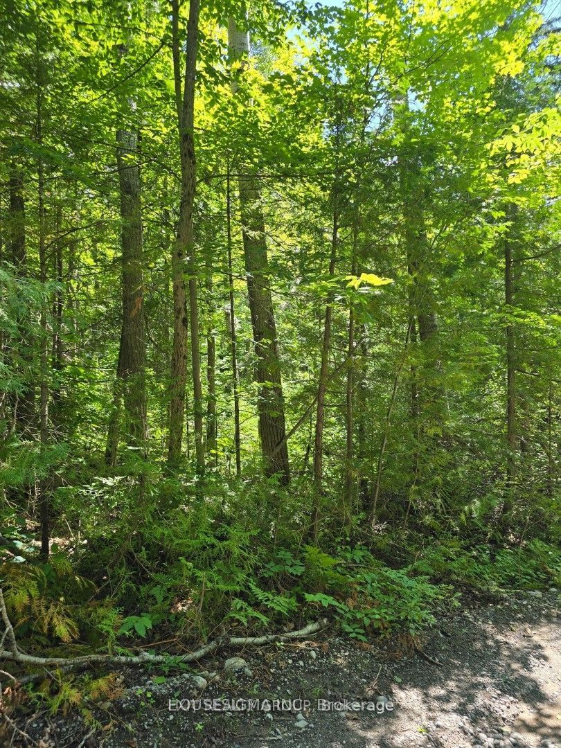 PT LT 3 Concession 8 PT 123 N/A, Trent Hills, ON K0L 1V0