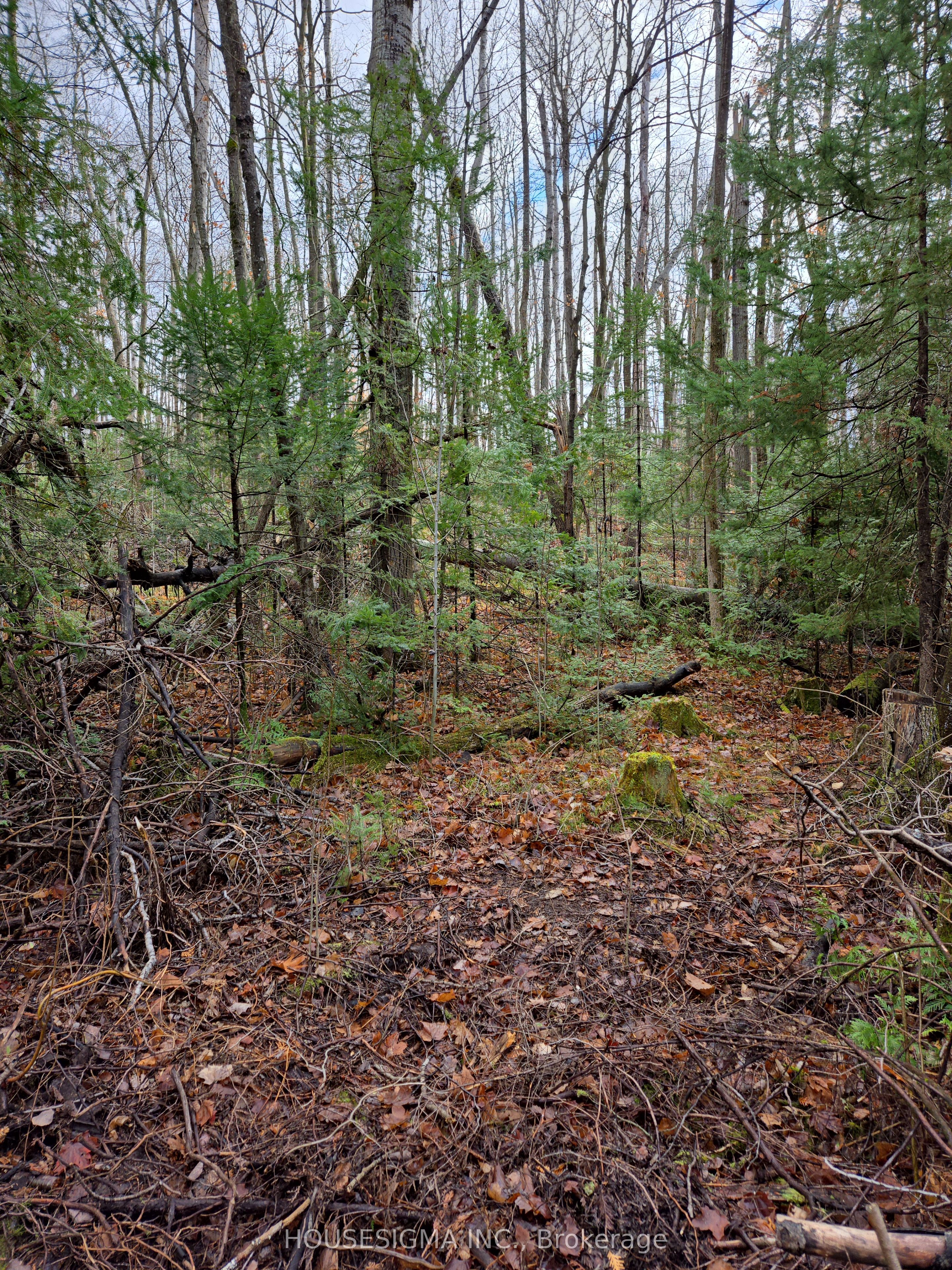 PT LT 3 Concession 8 PT 123 N/A, Trent Hills, ON K0L 1V0 photo 2
