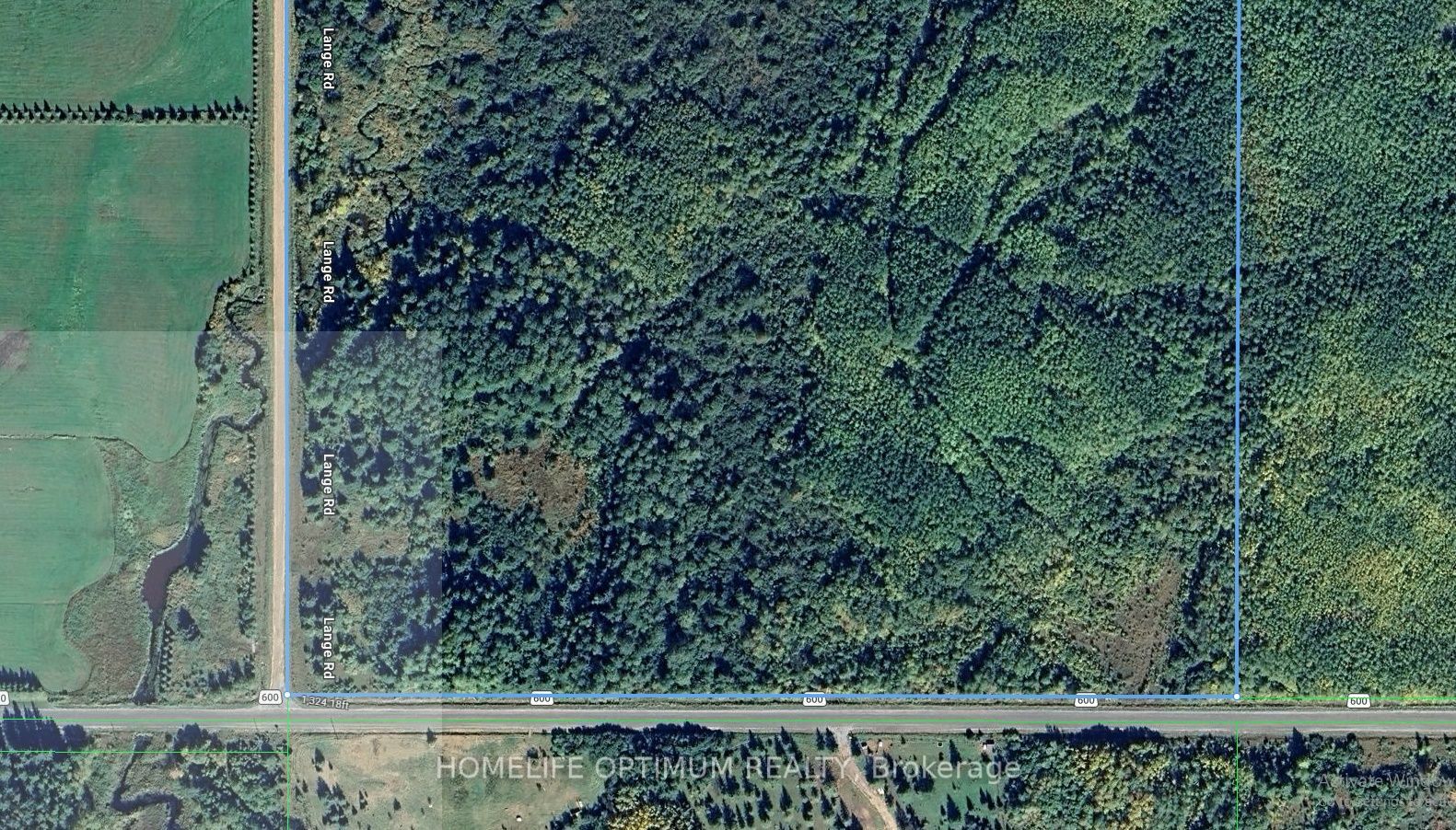 Parcel 17499 Highway 600 Highway N, Lake of the Woods, ON P0W 1M0 photo 3