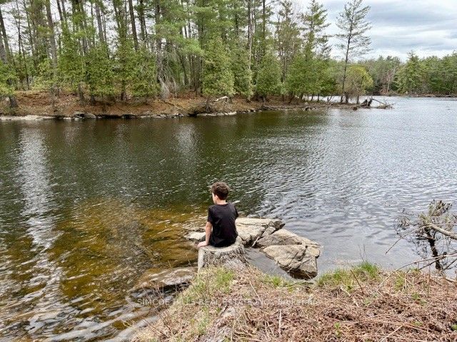 1110 Flanagan Trail S, Gravenhurst, ON P0E 1G0 photo 3
