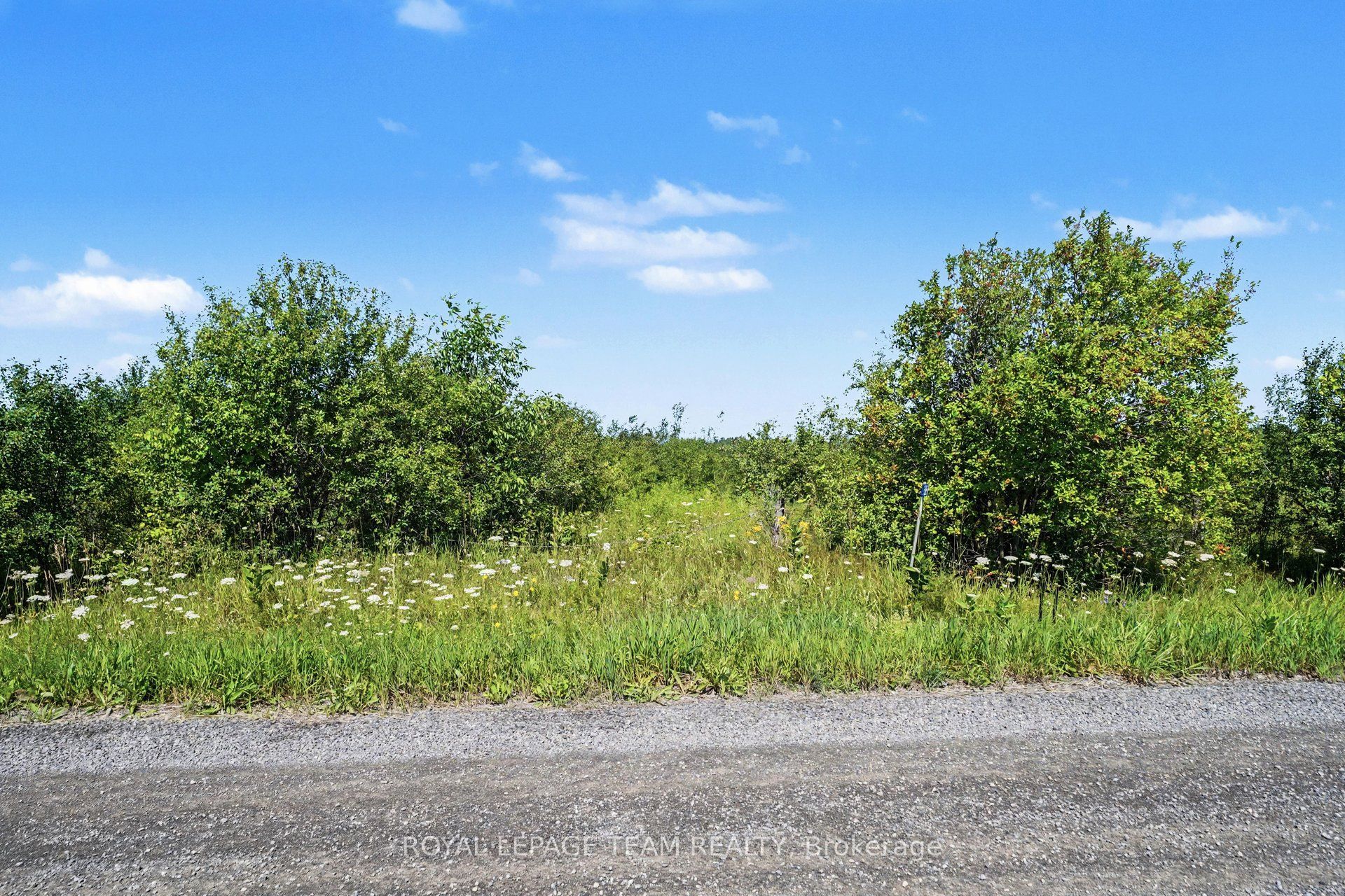 515 Jig Street, North Grenville, ON K0G 1S0 photo 2