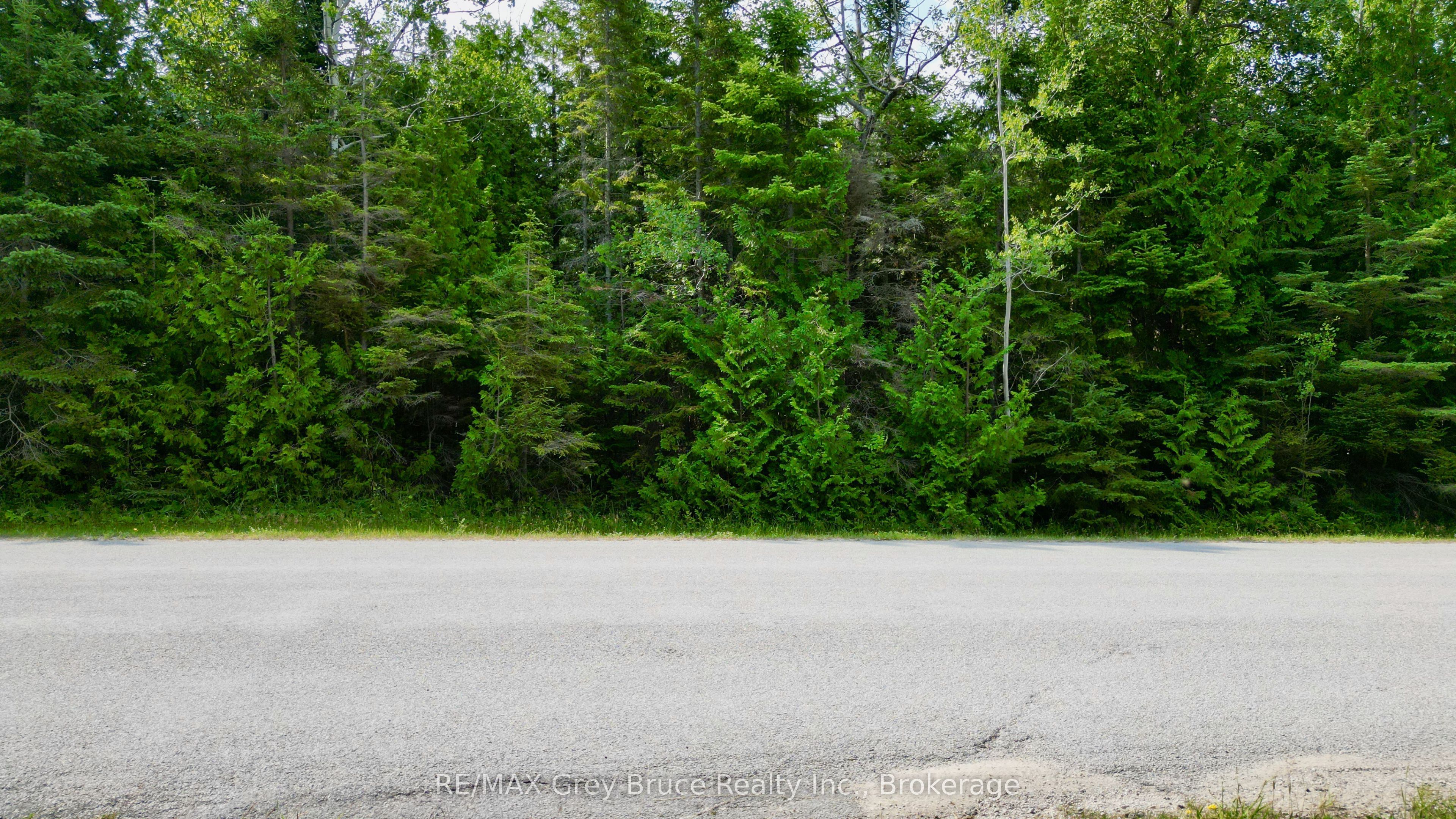 LT 11 Spry Road, Northern Bruce Peninsula, ON N0H 1W0 photo 4