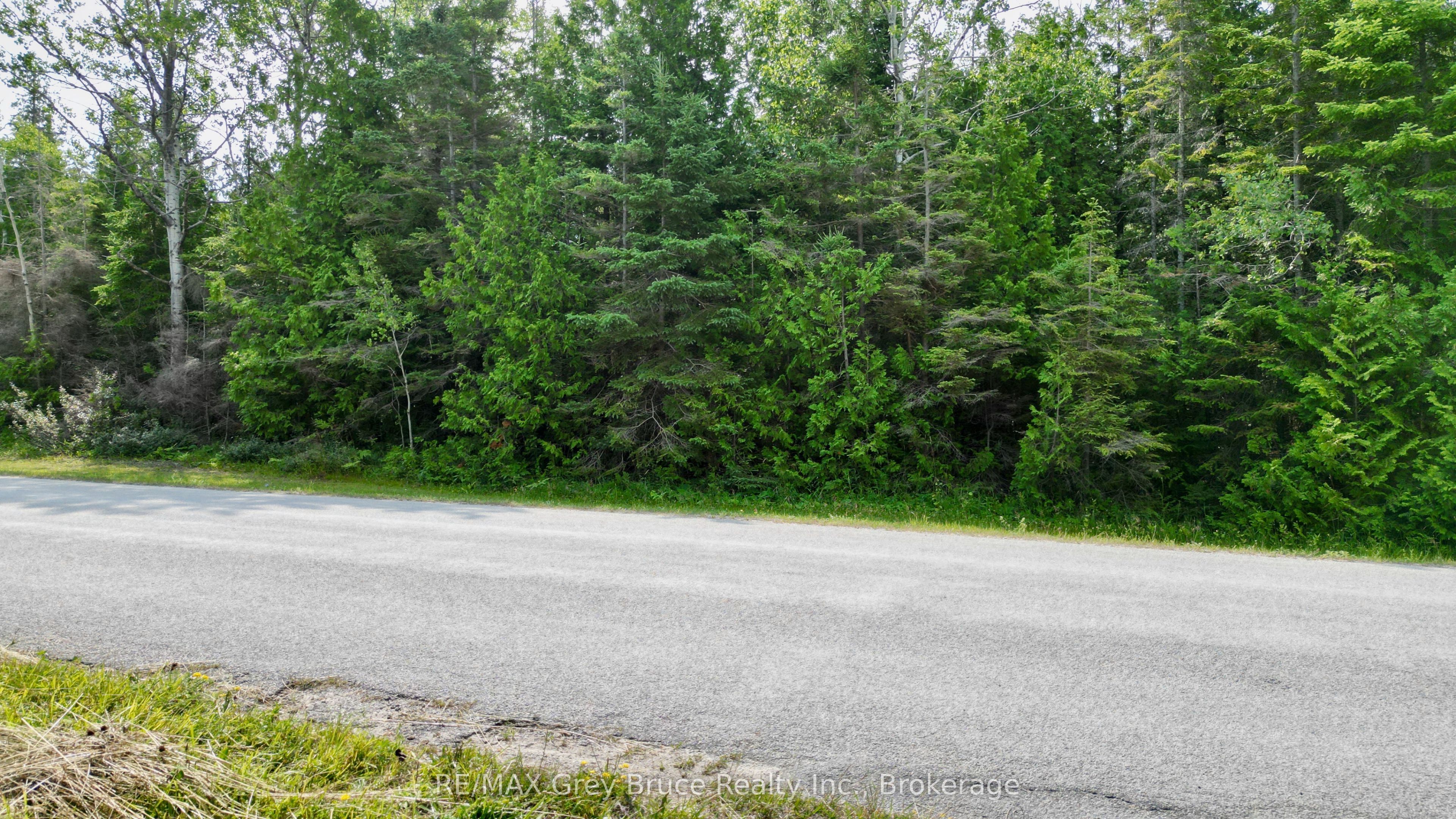 LT 11 Spry Road, Northern Bruce Peninsula, ON N0H 1W0 photo 5