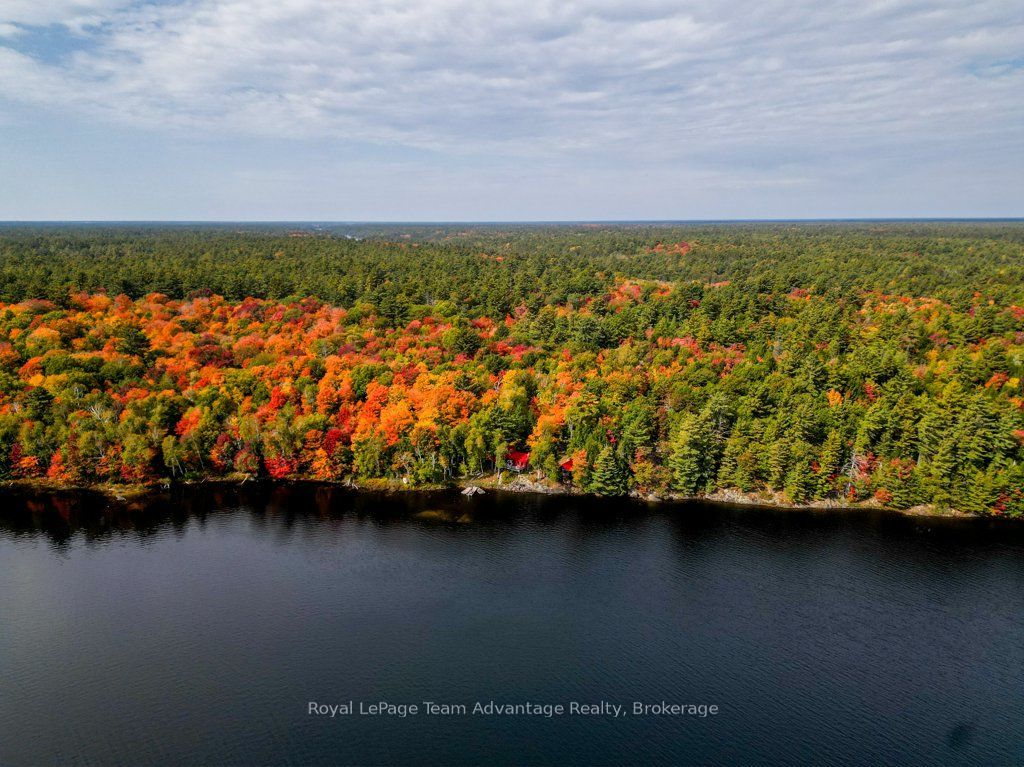 9600 Part 4 Harris Lake Water N/A, Whitestone, ON P0A 1G0 photo 5