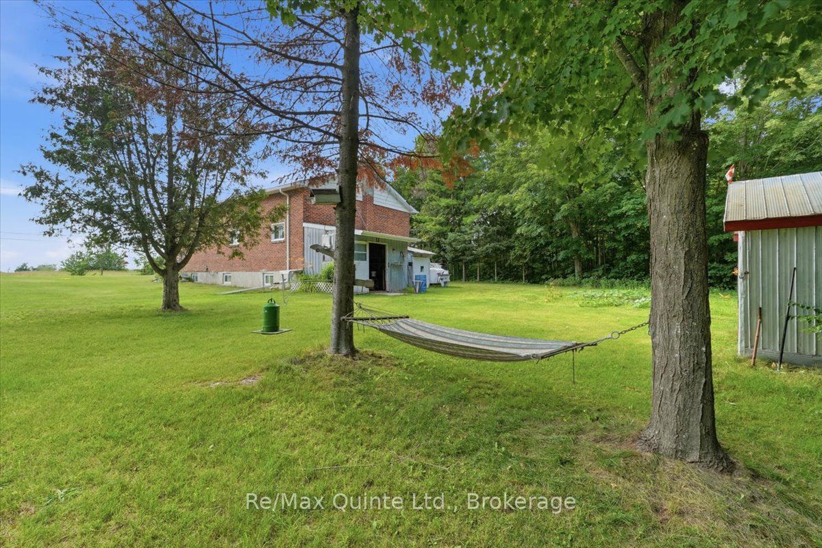 16492 Highway 62 N/A, Madoc, ON K0K 1Y0 photo 4