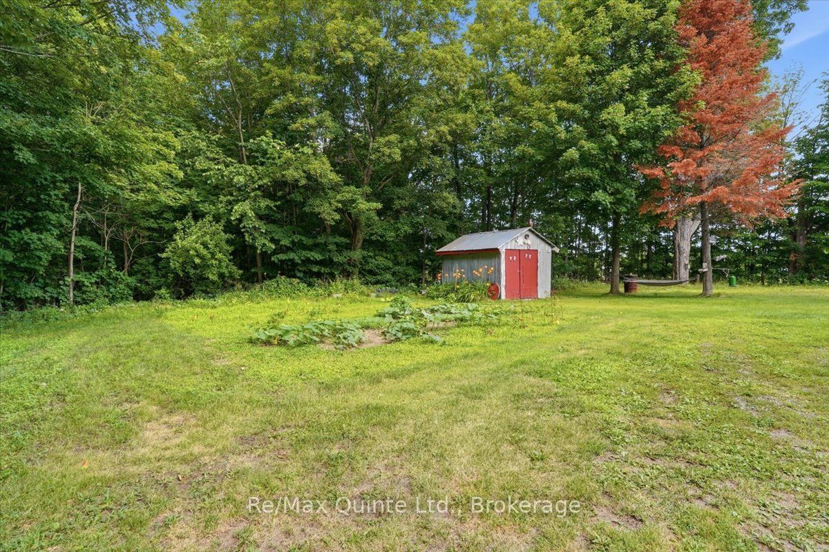 16492 Highway 62 N/A, Madoc, ON K0K 1Y0 photo 5