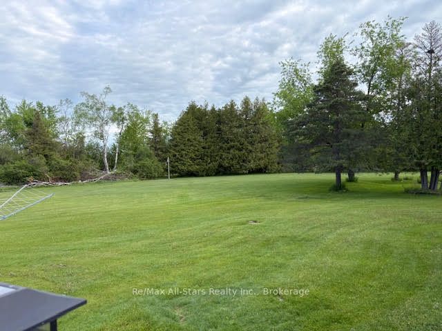 12 Stephen Court, Kawartha Lakes, ON K0M 1L0 photo 4
