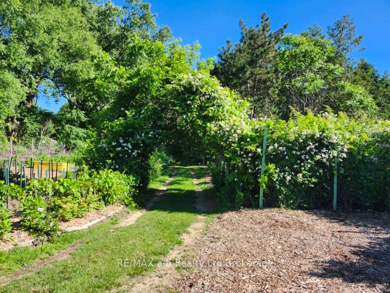 55424 Lakeshore Road, Bayham, ON N0J 1T0 photo 5