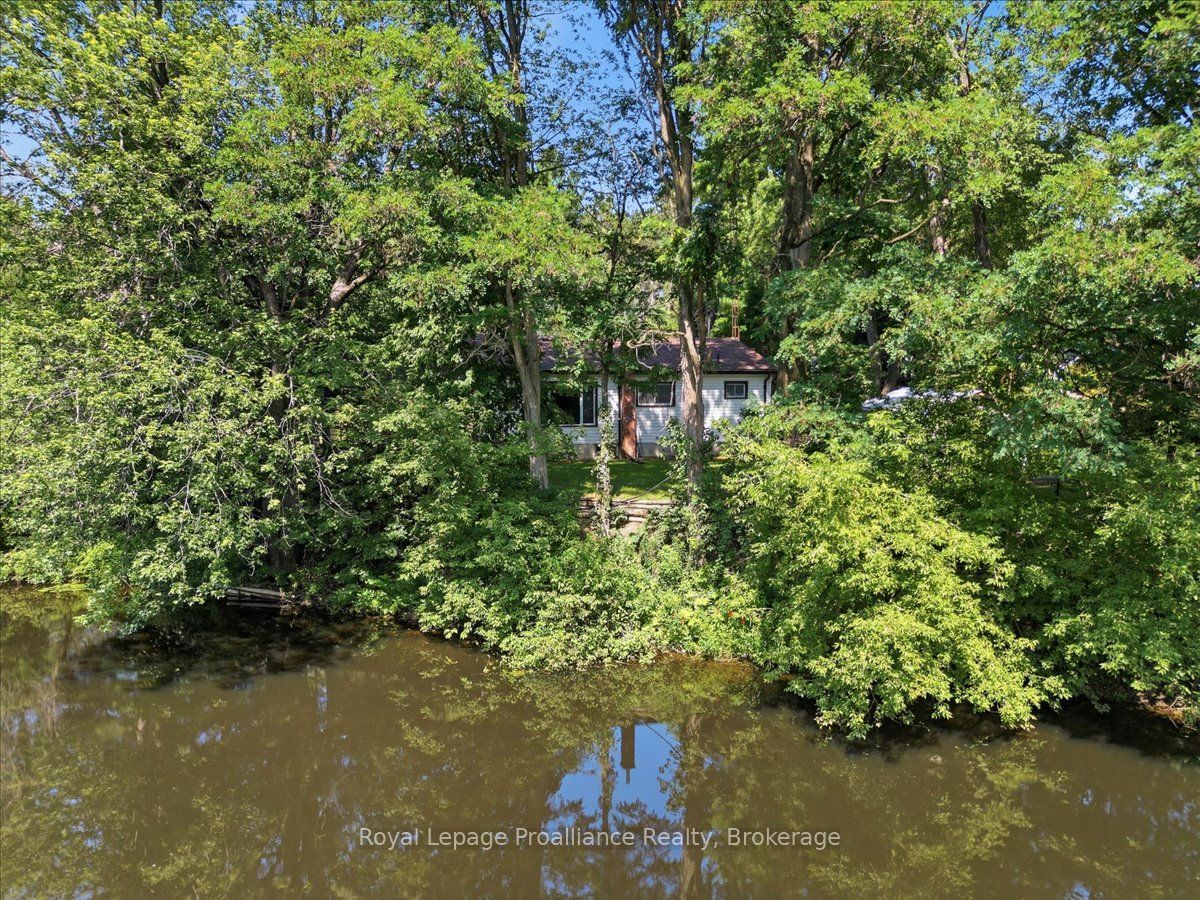 42-B Hawkins Bay Road, Tweed, ON K0K 3J0 photo 3