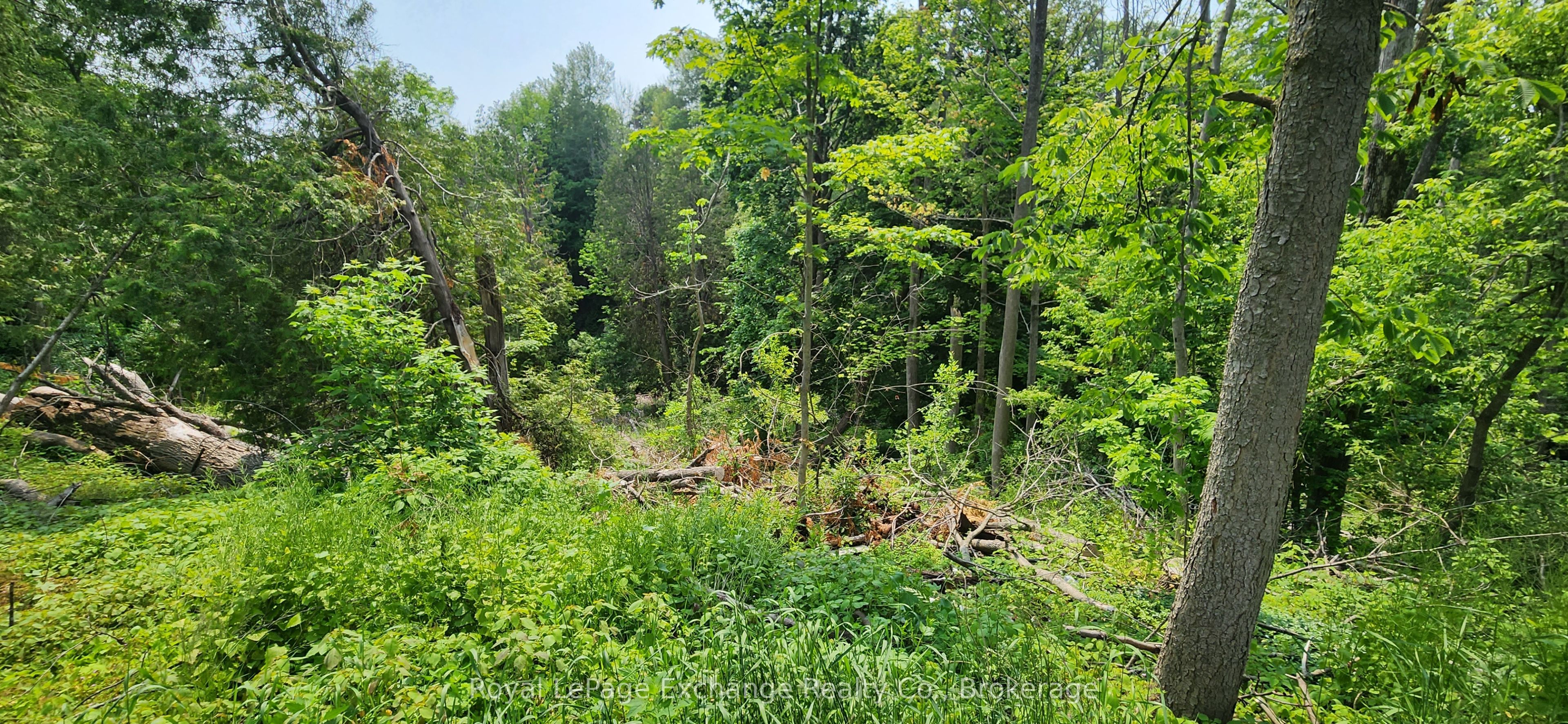 444 Durham Street, Kincardine, ON N2Z 2B8 photo 4