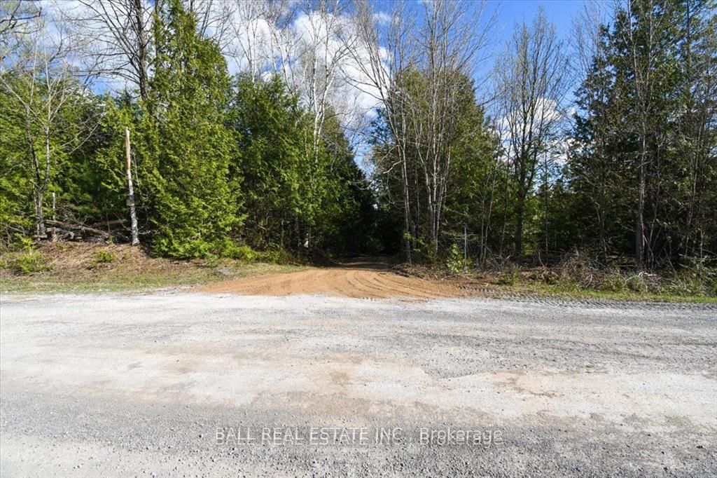 Pt Lts 11 & 12 As Part 2, Clydesdale Road, North Kawartha, ON K0L 1A0 photo 5