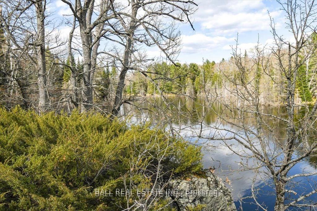 0 Clydesdale Road, North Kawartha, ON K0L 1A0 photo 3