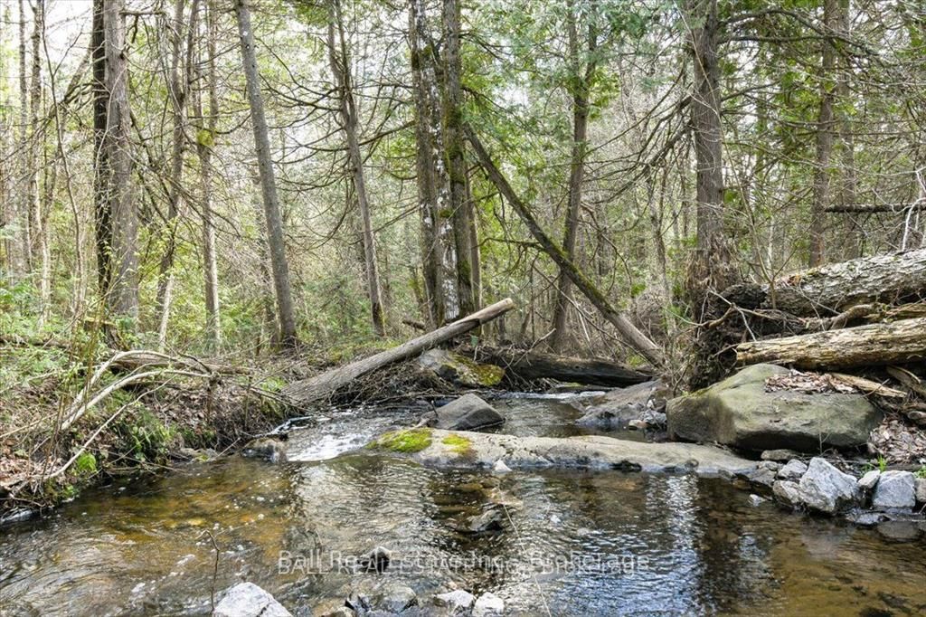 0 Clydesdale Road, North Kawartha, ON K0L 1A0 photo 4