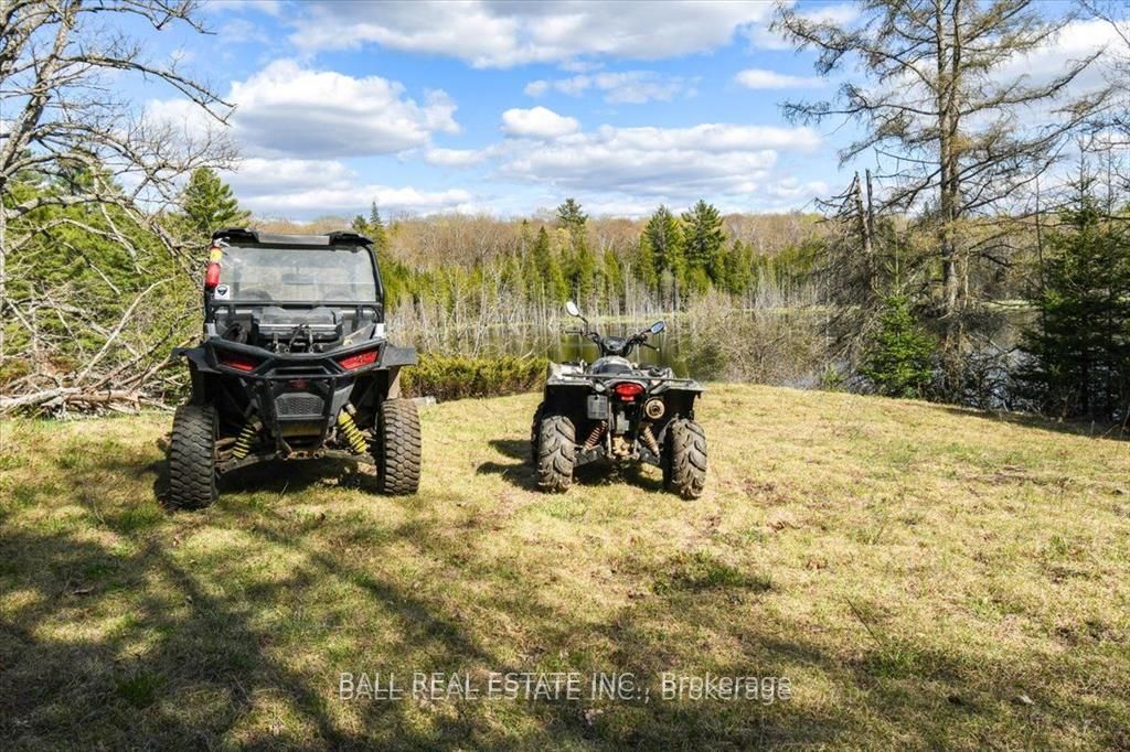 0 Clydesdale Road, North Kawartha, ON K0L 1A0 photo 5