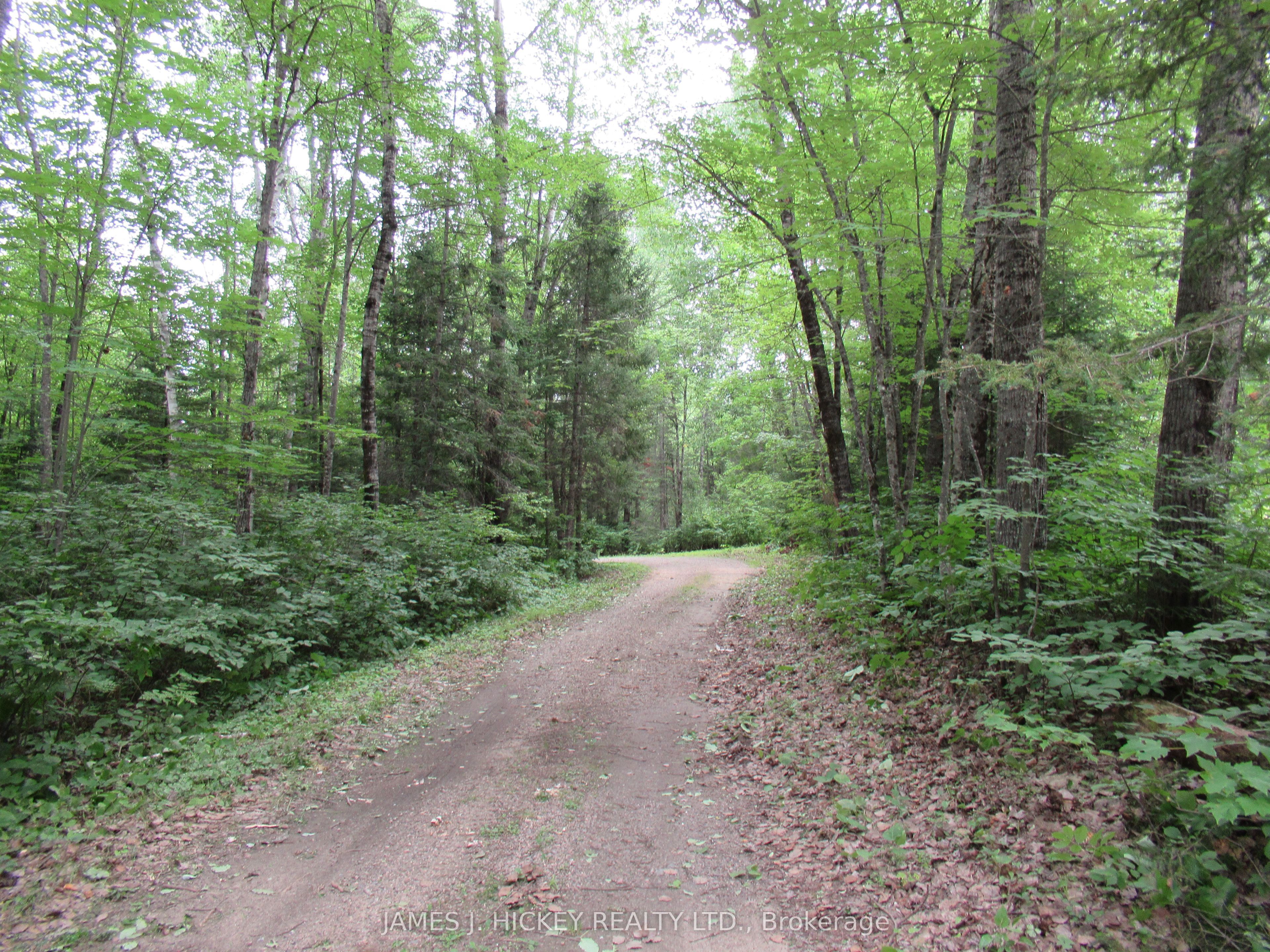 601 MACKEY CREEK Road, Head, Clara and Maria, ON K0J 2B0 photo 2