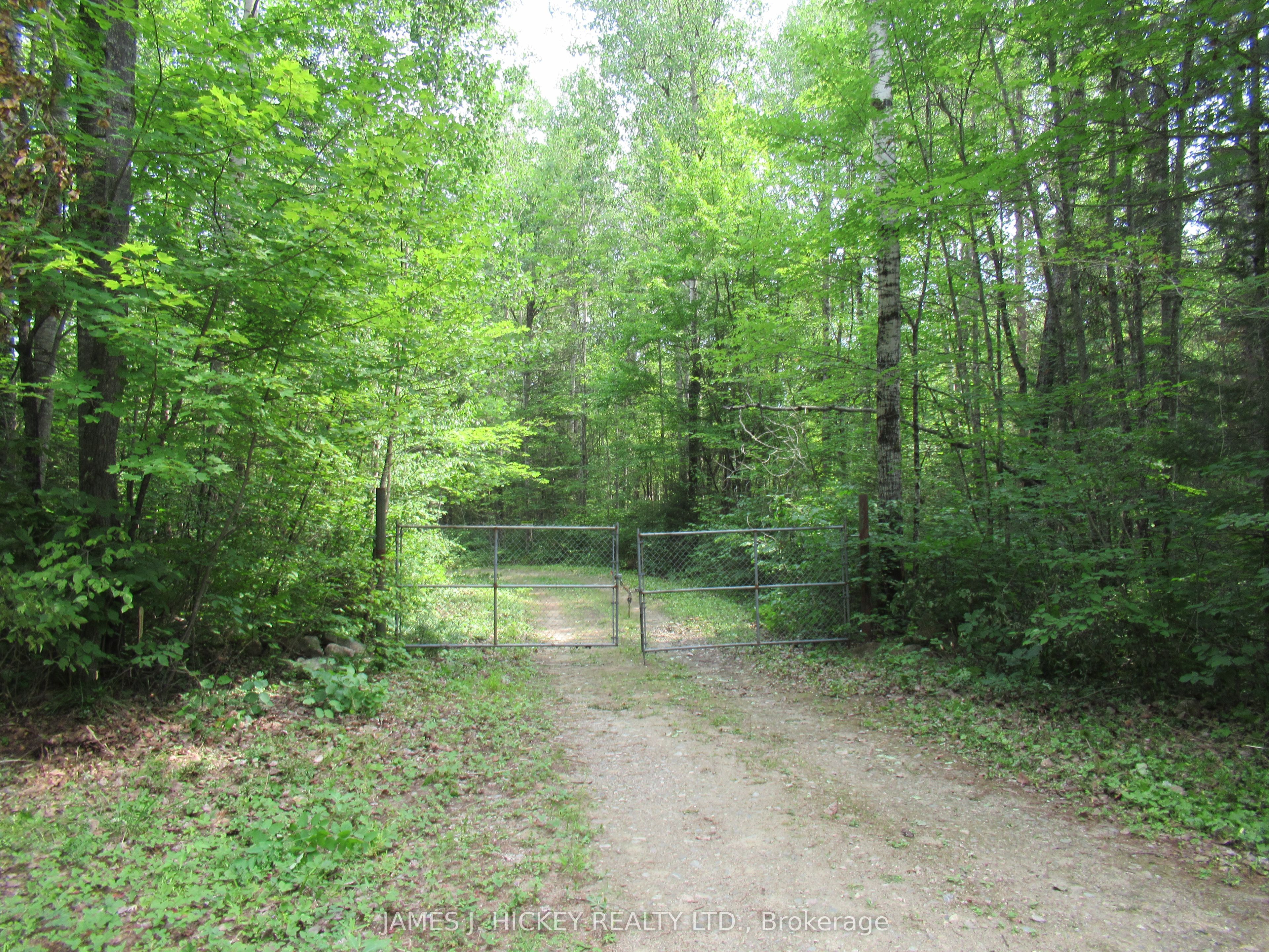 601 MACKEY CREEK Road, Head, Clara and Maria, ON K0J 2B0 photo 3