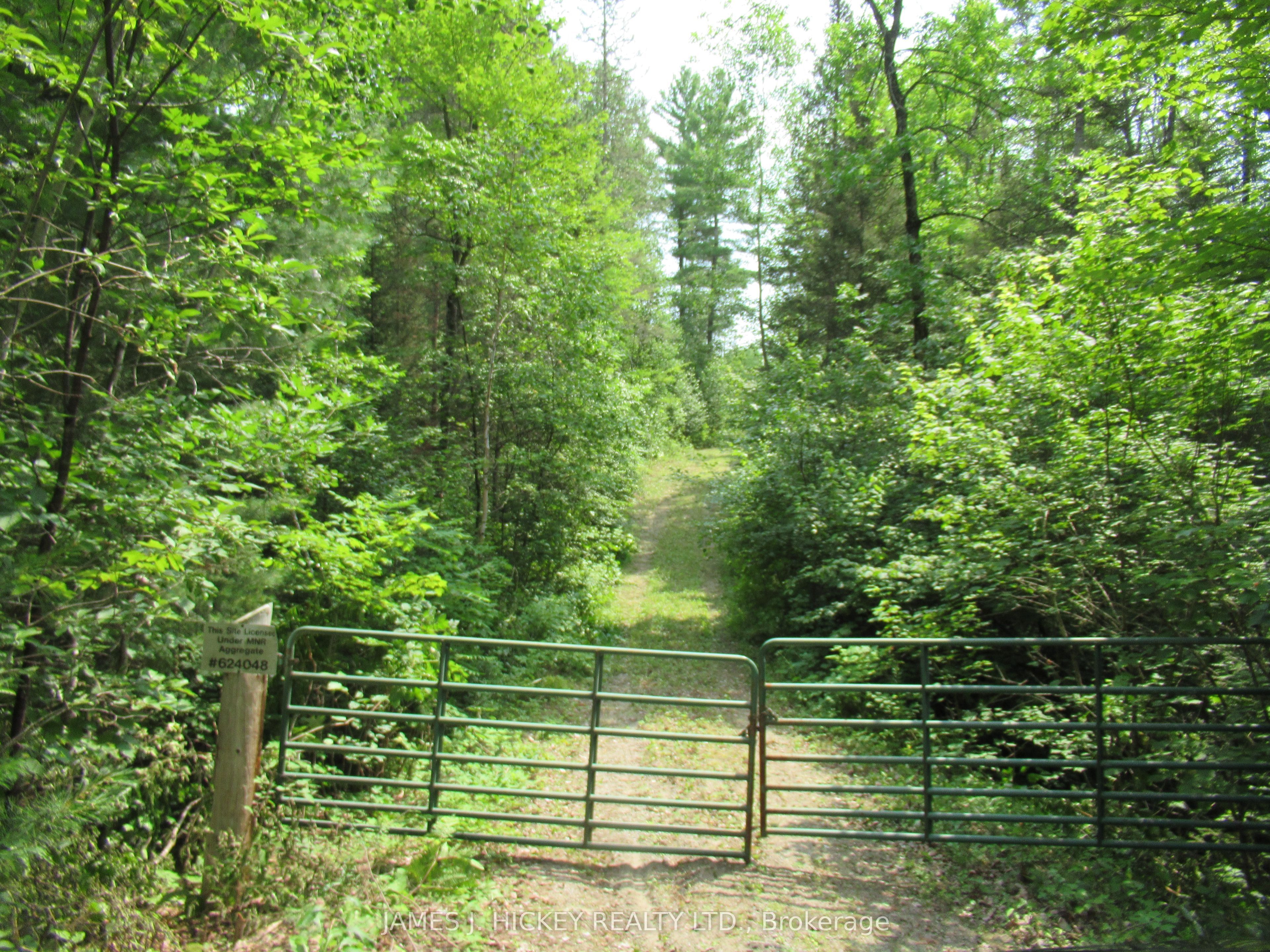 601 MACKEY CREEK Road, Head, Clara and Maria, ON K0J 2B0 photo 4