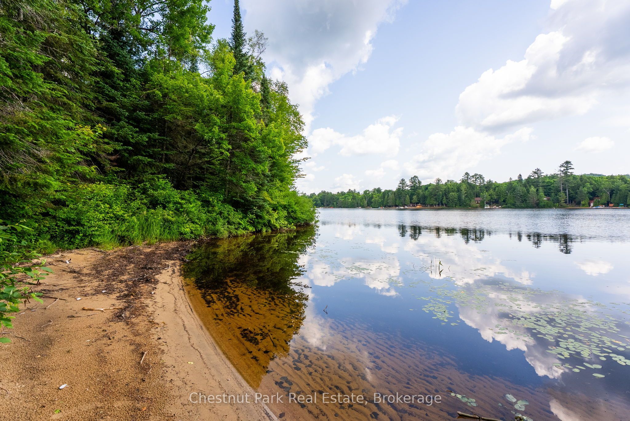 1136 Severn Lane, Algonquin Highlands, ON P0A 1E0 photo 5
