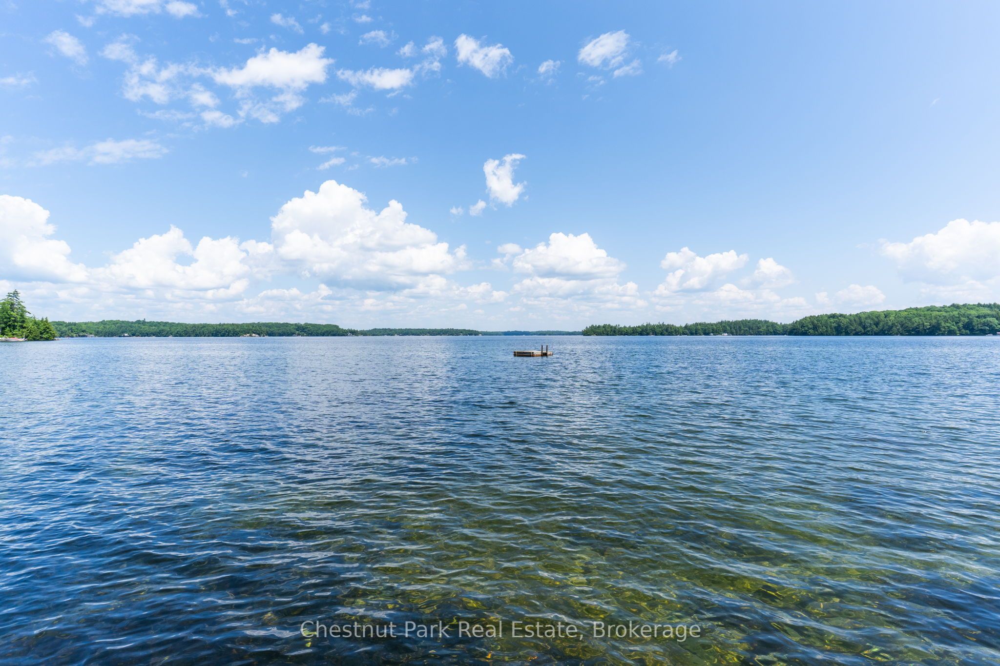 4916 Muskoka Rd 169 Road 7, Muskoka Lakes, ON P0C 1H0 photo 5