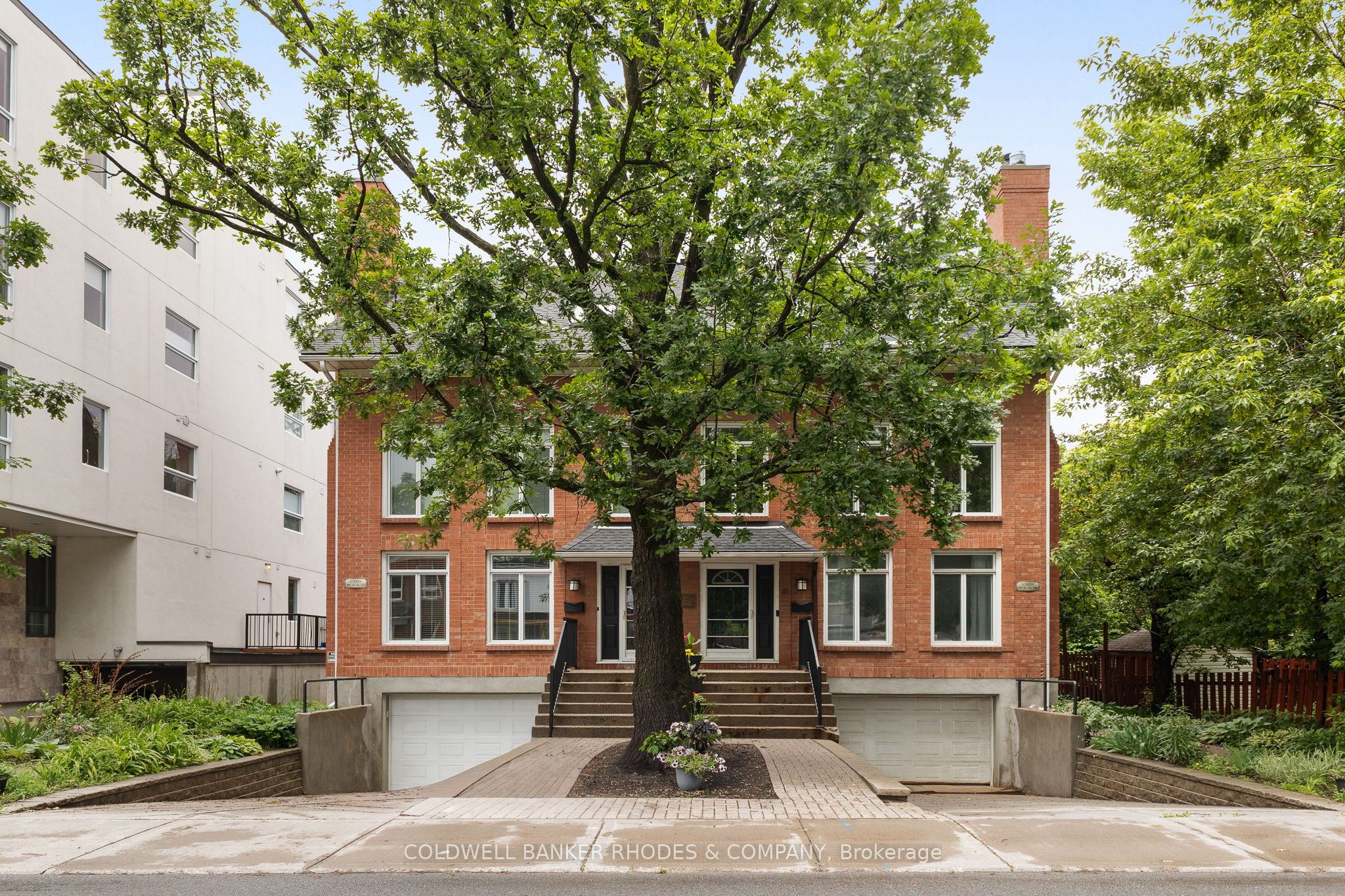 59 Havelock Street 1, Glebe - Ottawa East and Area, ON K1S 0A4 photo 2