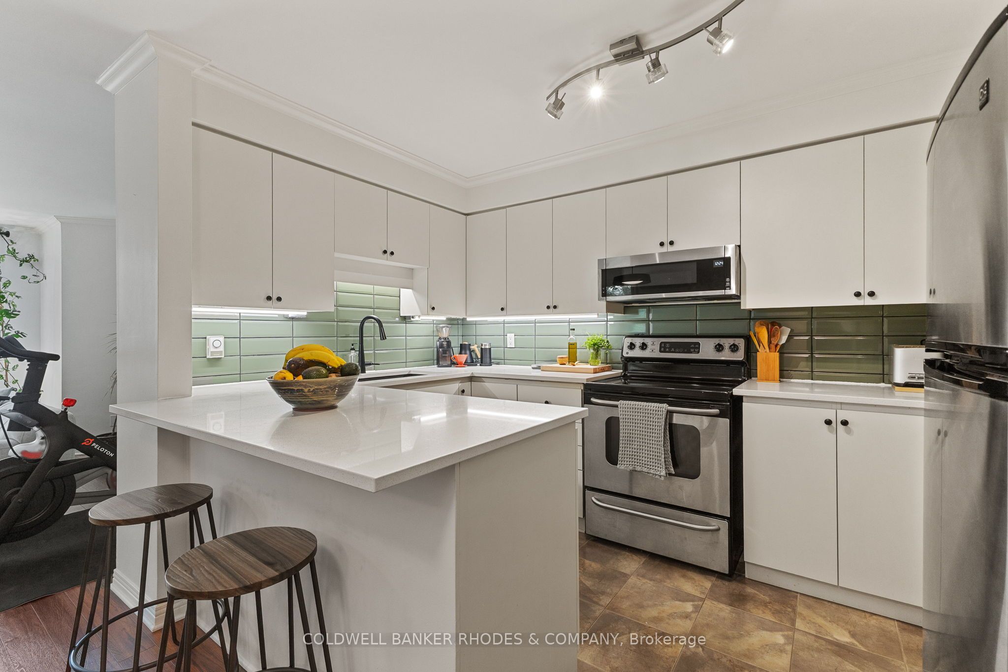 59 Havelock Street 1, Glebe - Ottawa East and Area, ON K1S 0A4 photo 4