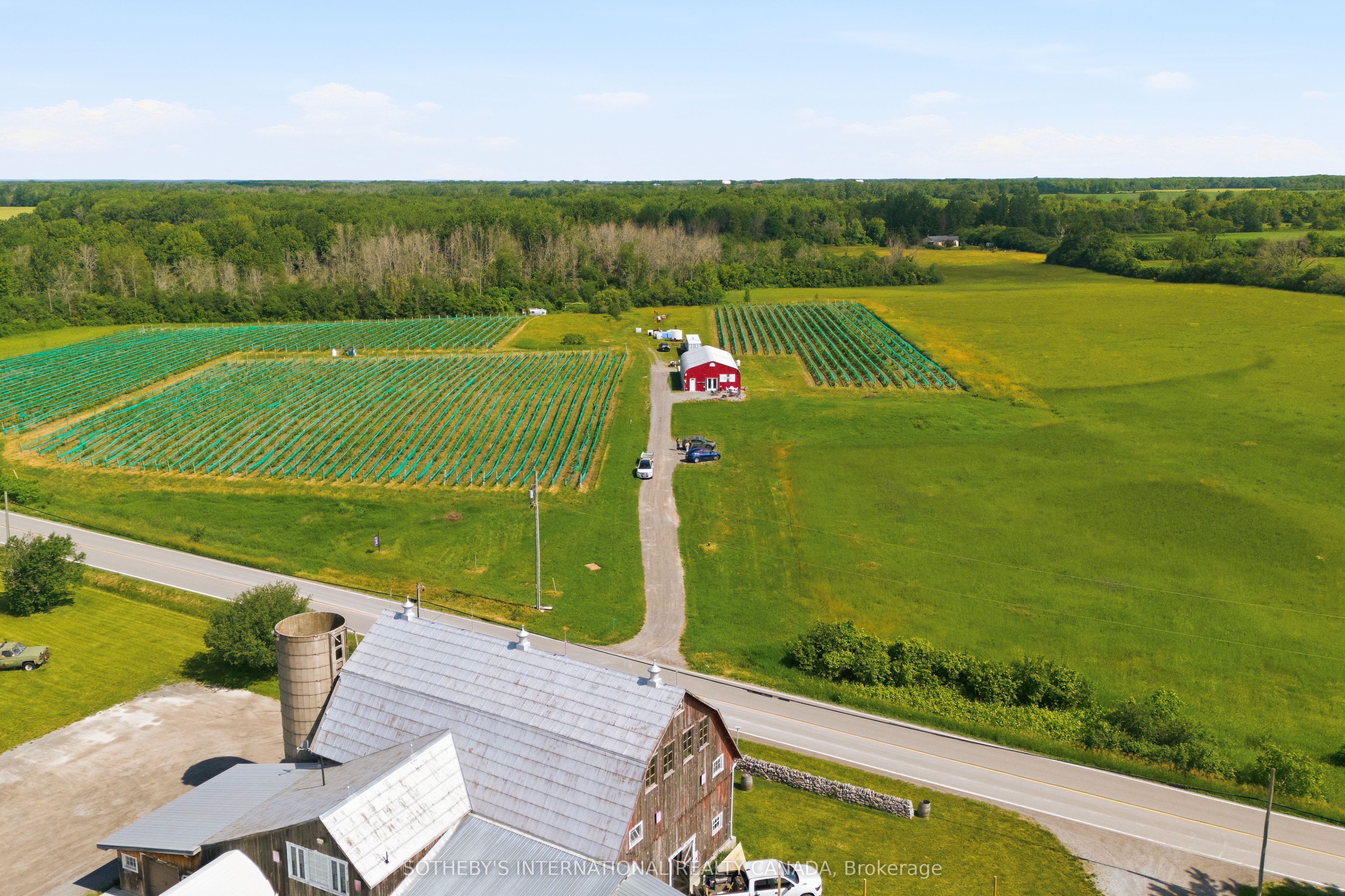 562 Danforth Road E, Prince Edward County, ON K0K 3L0 photo 2
