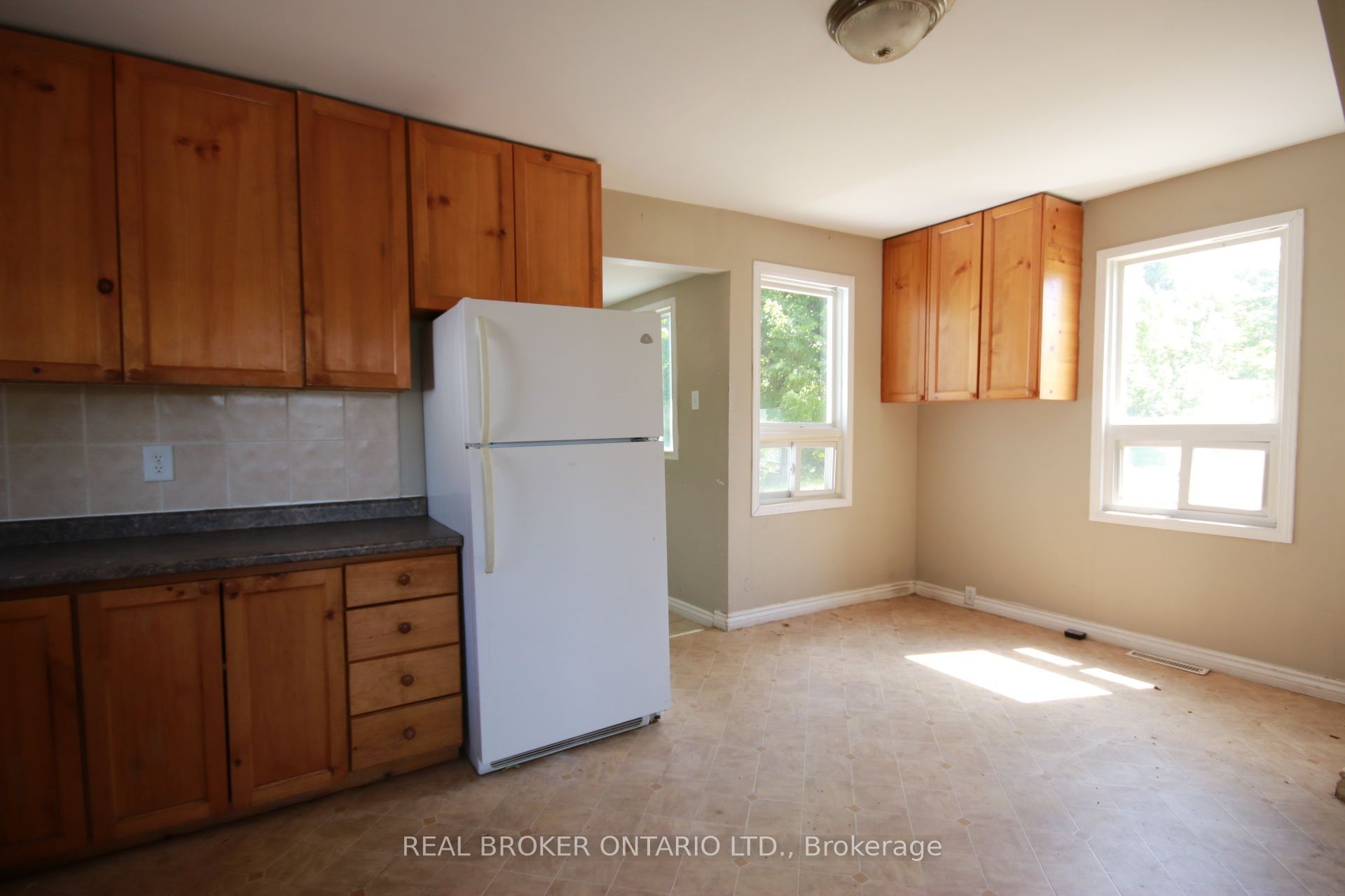 236 Mountain Street, Greater Sudbury, ON P3B 2T7 photo 4