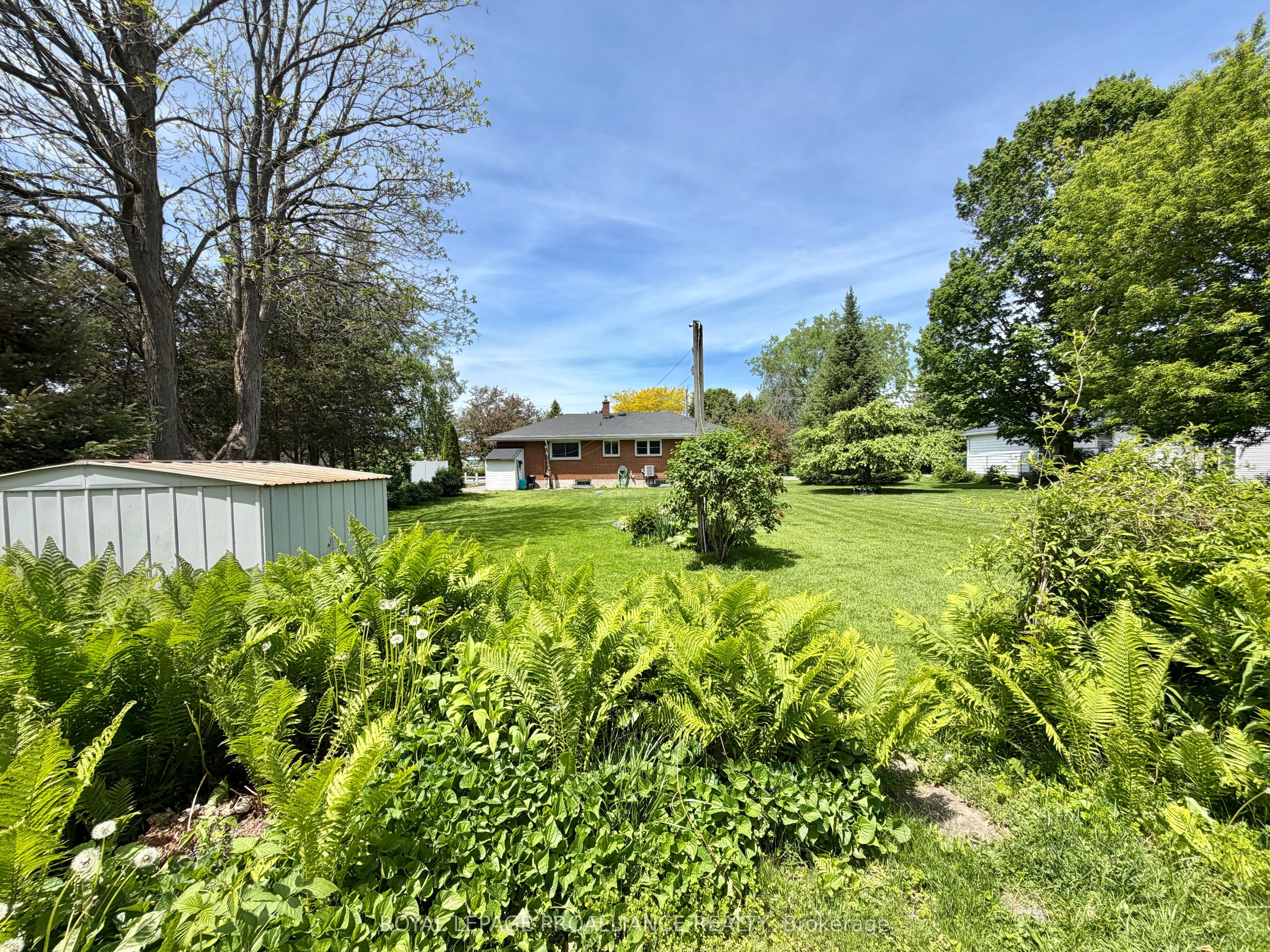 471 County Road 3 Road, Prince Edward County, ON K8N 4Z1 photo 5