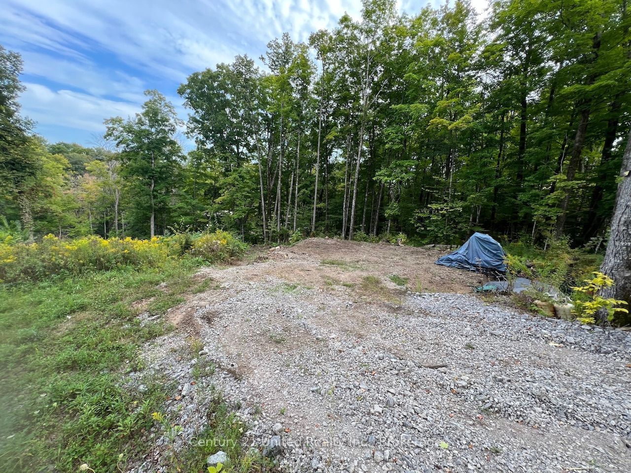 Lot 86 Kennedy Drive, Trent Lakes, ON K0M 1A0 photo 2