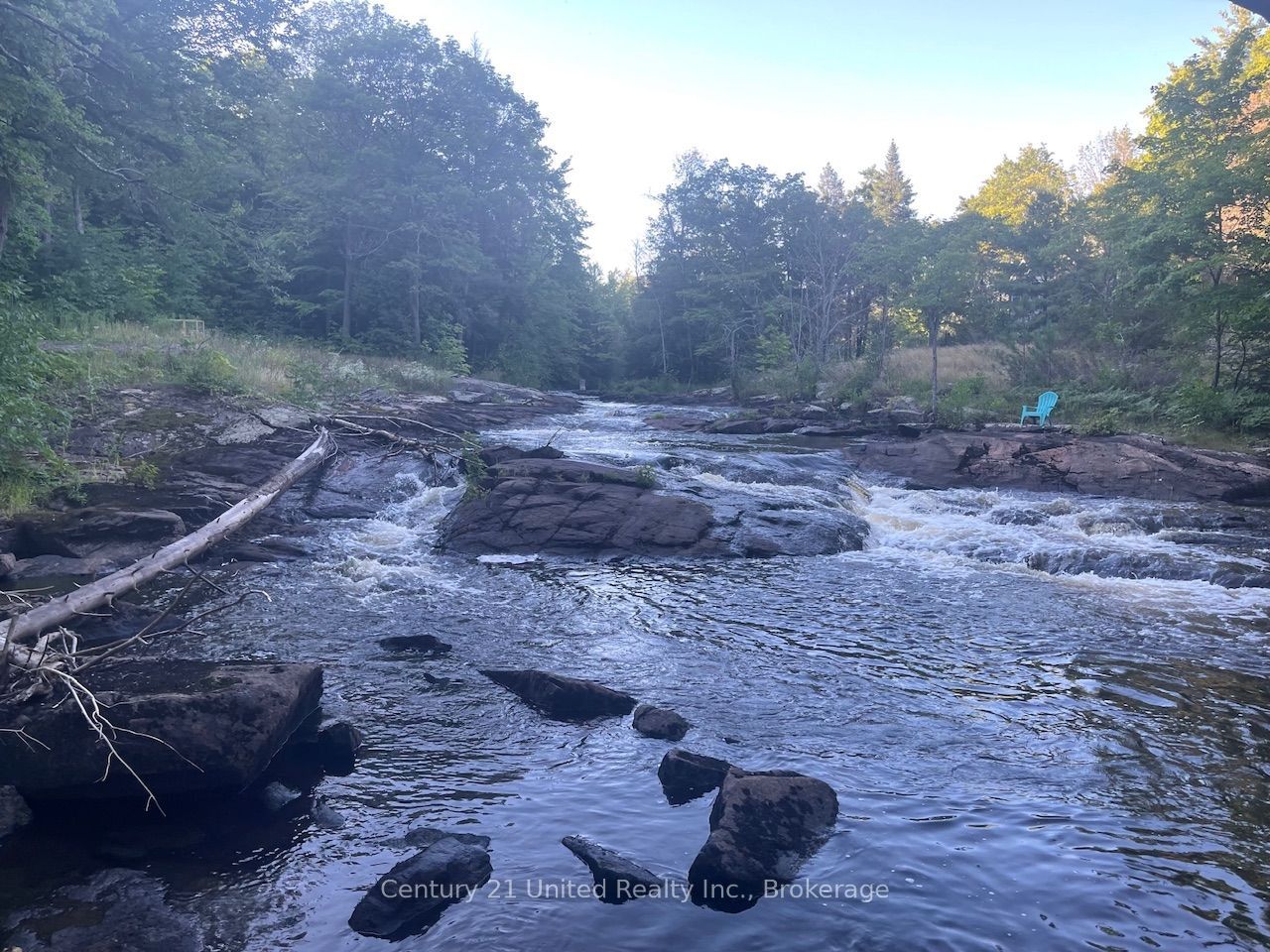 Lot 86 Kennedy Drive, Trent Lakes, ON K0M 1A0 photo 4
