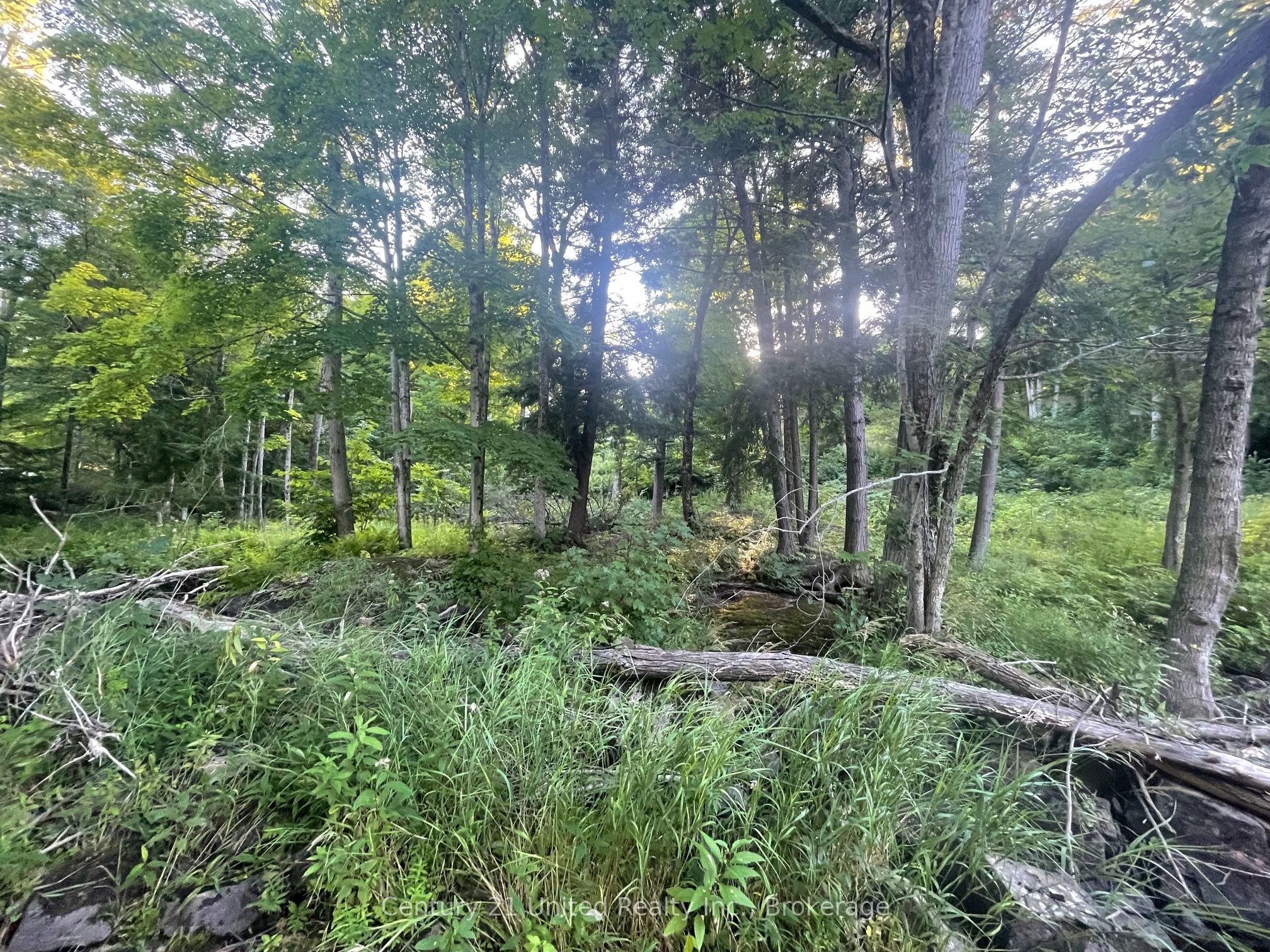 Lot 86 Kennedy Drive, Trent Lakes, ON K0M 1A0 photo 5