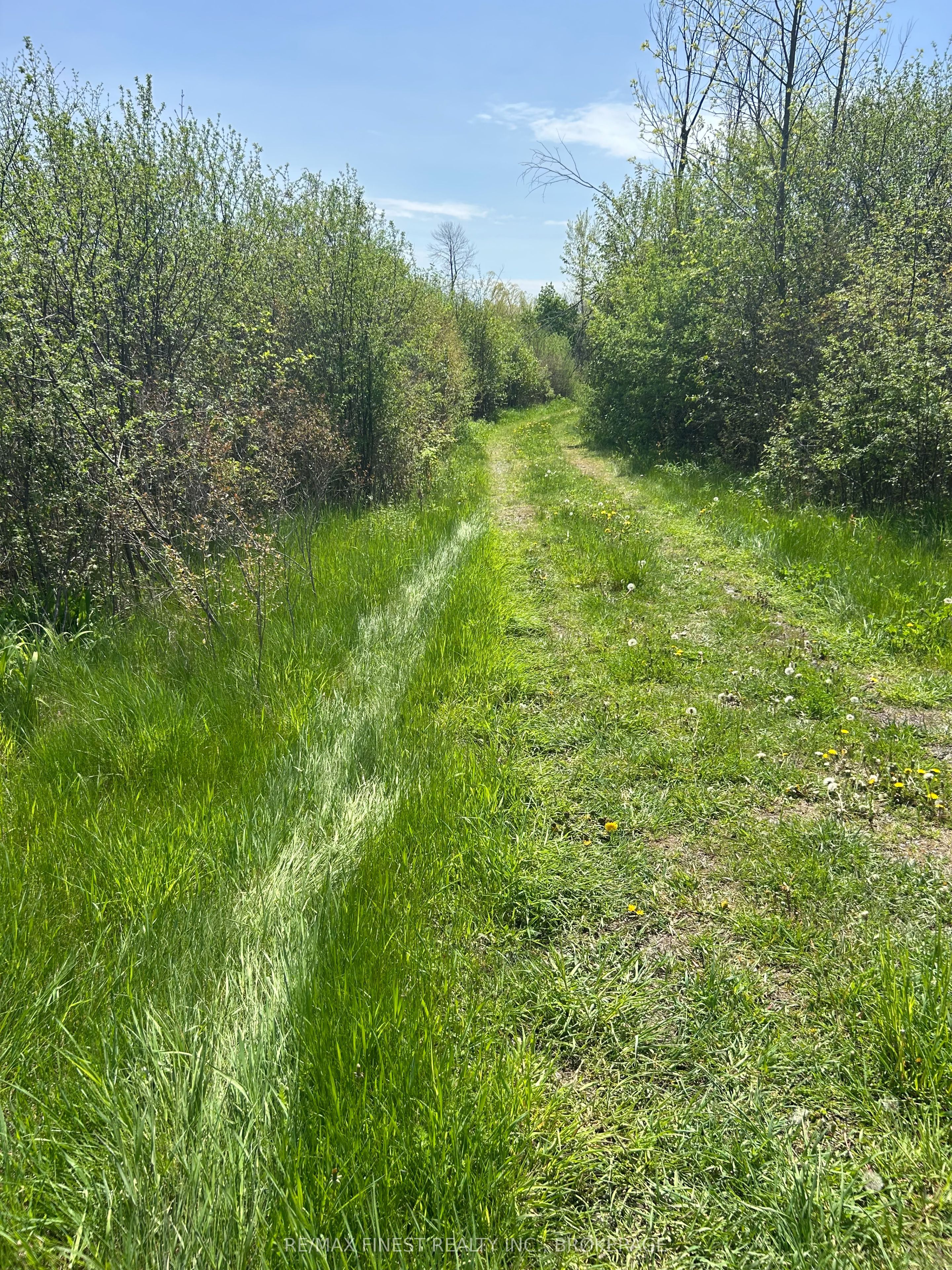 Lot 75-81 Plan 65 Cross Street, Frontenac, ON K0H 2Y0 photo 2