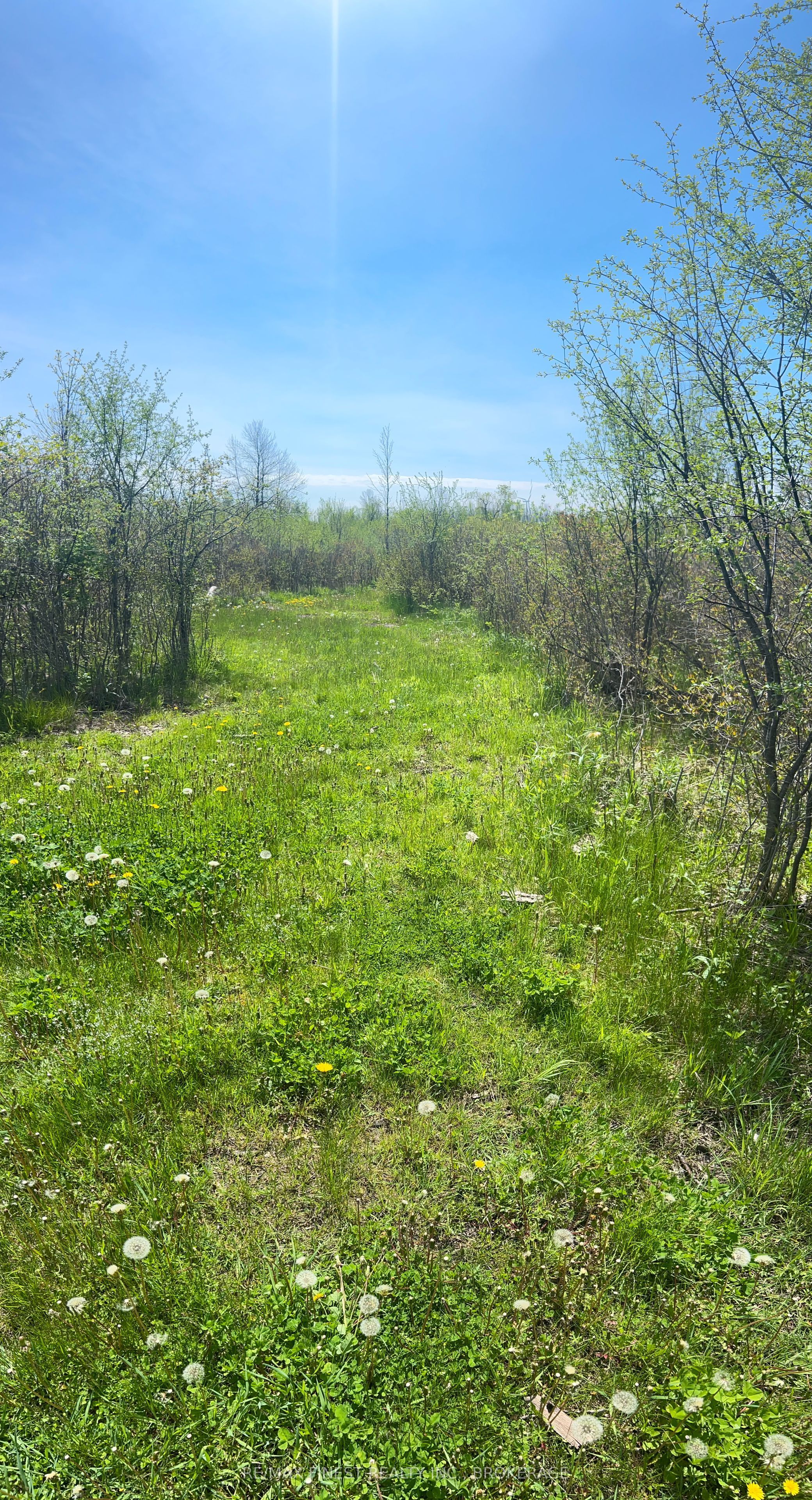 Lot 75-81 Plan 65 Cross Street, Frontenac, ON K0H 2Y0 photo 4