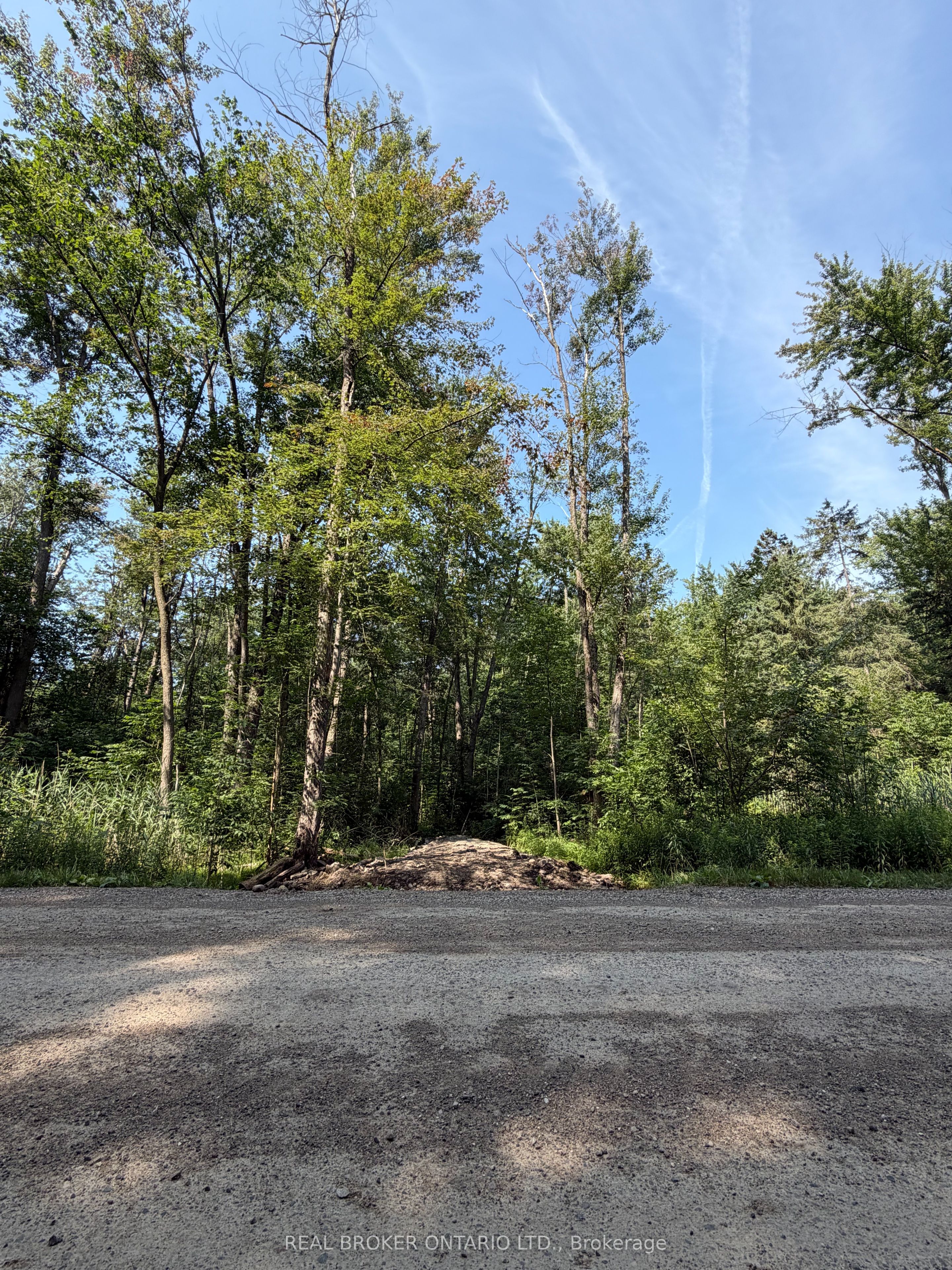436123 43rd Line, Zorra, ON N0J 1J0 photo 2